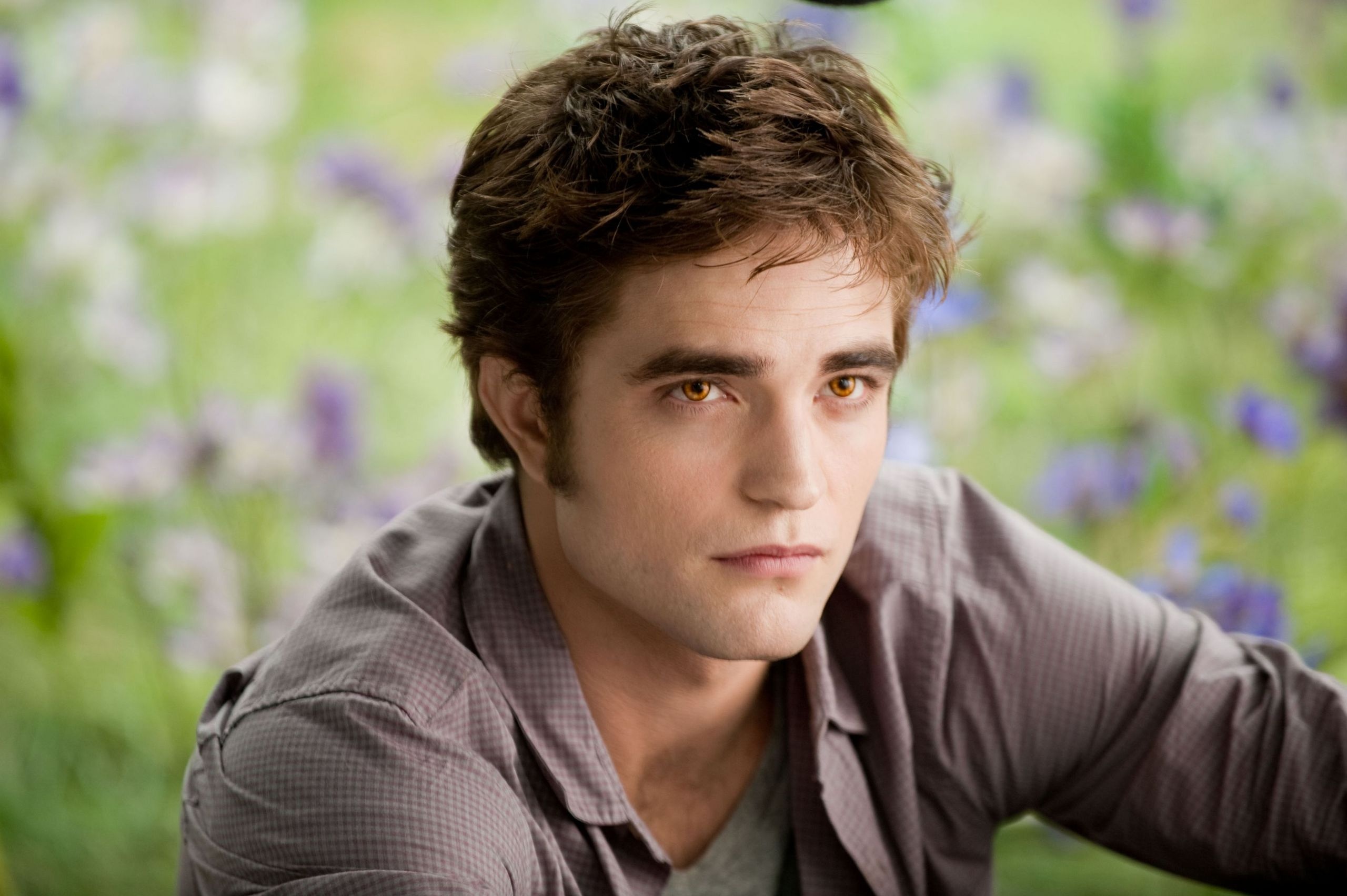 Wallpapers of edward cullen, image, twilight saga, movies, 2560x1710 HD Desktop