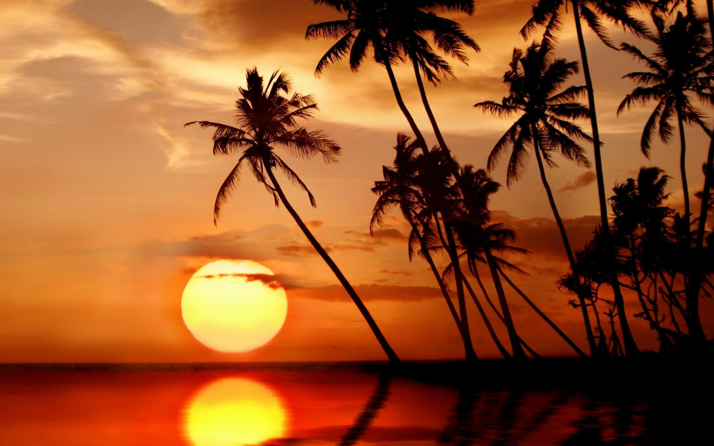 Paradise sunset, Calm waters, Mesmerizing colors, Serene atmosphere, 2880x1800 HD Desktop