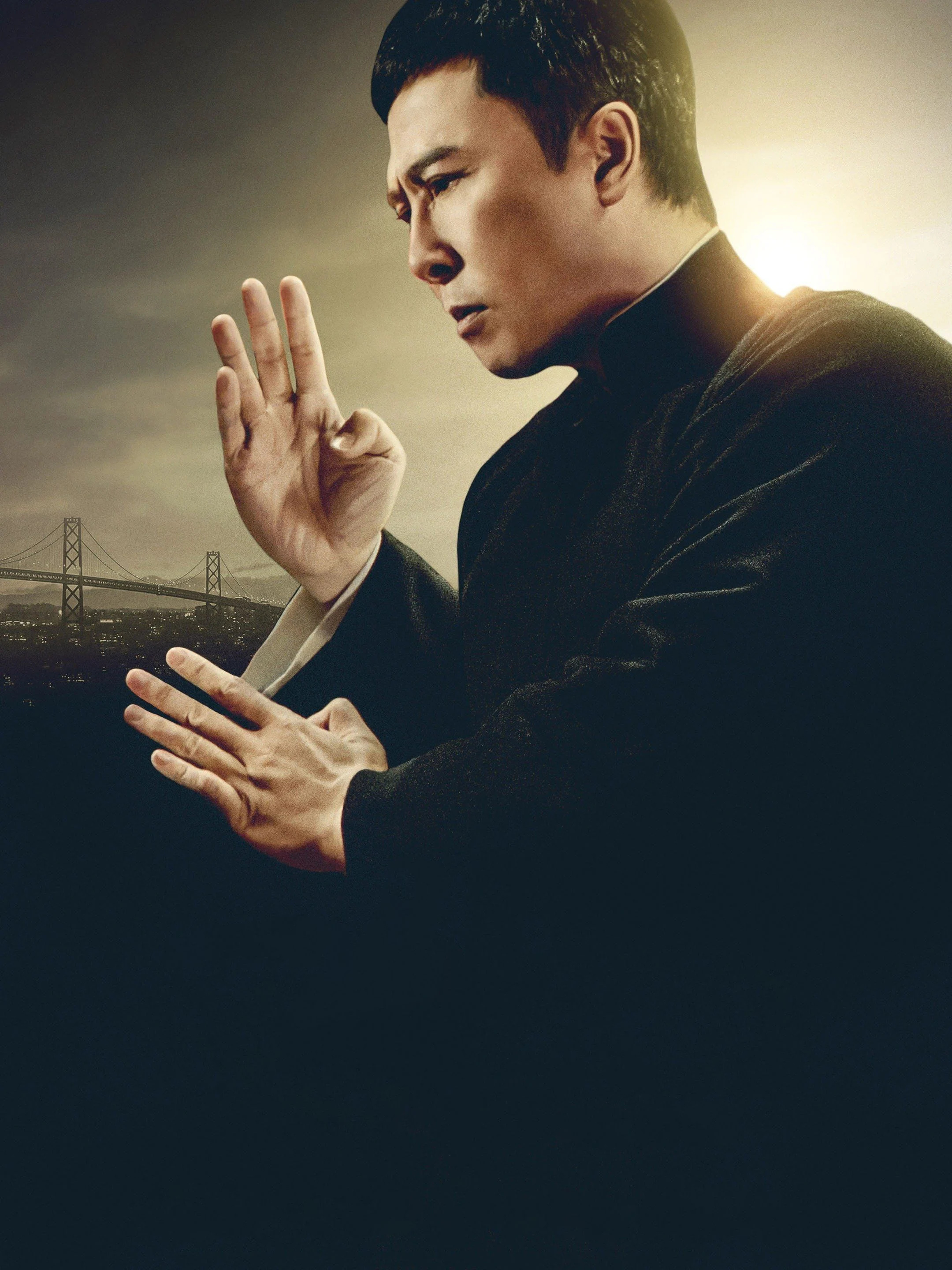 Ip Man, Legendary Wing Chun master, Fierce martial arts, Dazzling fight scenes, 2160x2880 HD Phone