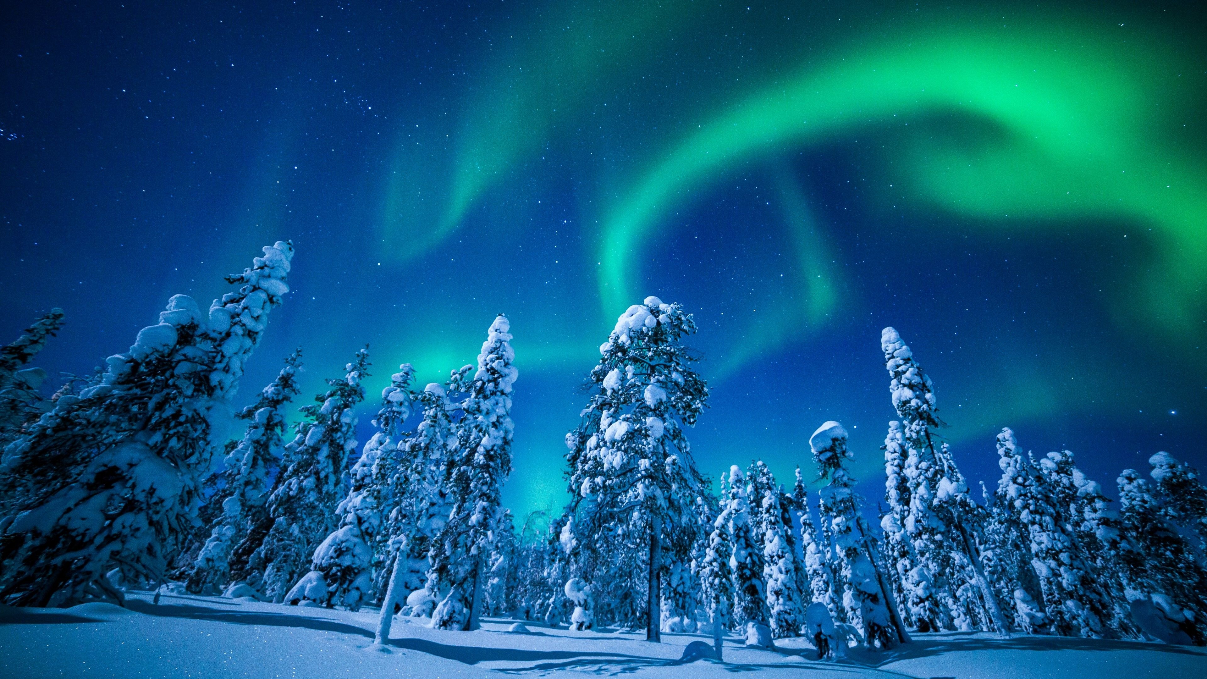 Wintry wonderland, Snow-covered forests, Arctic serenity, Frozen landscapes, 3840x2160 4K Desktop