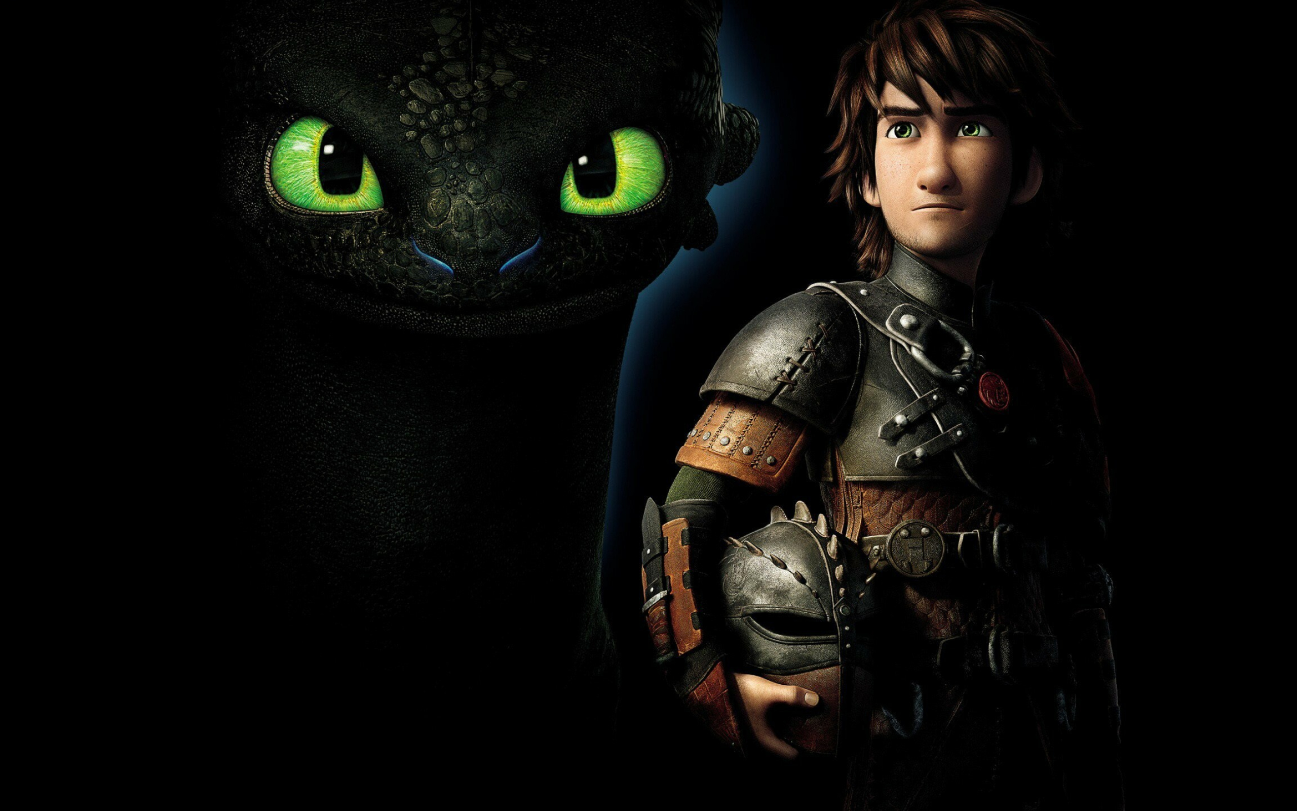 Poster, How to Train Your Dragon Wallpaper, 2560x1600 HD Desktop