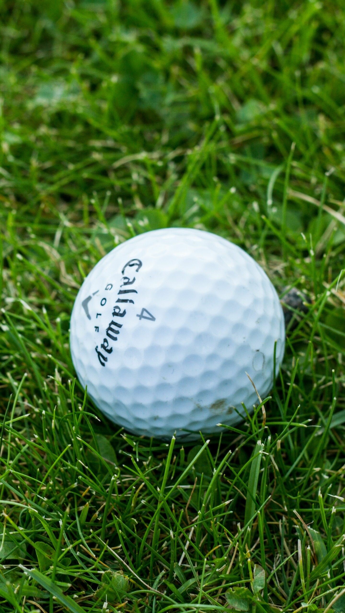 iPhone, Golf, Wallpaper, Ball, 1440x2560 HD Phone