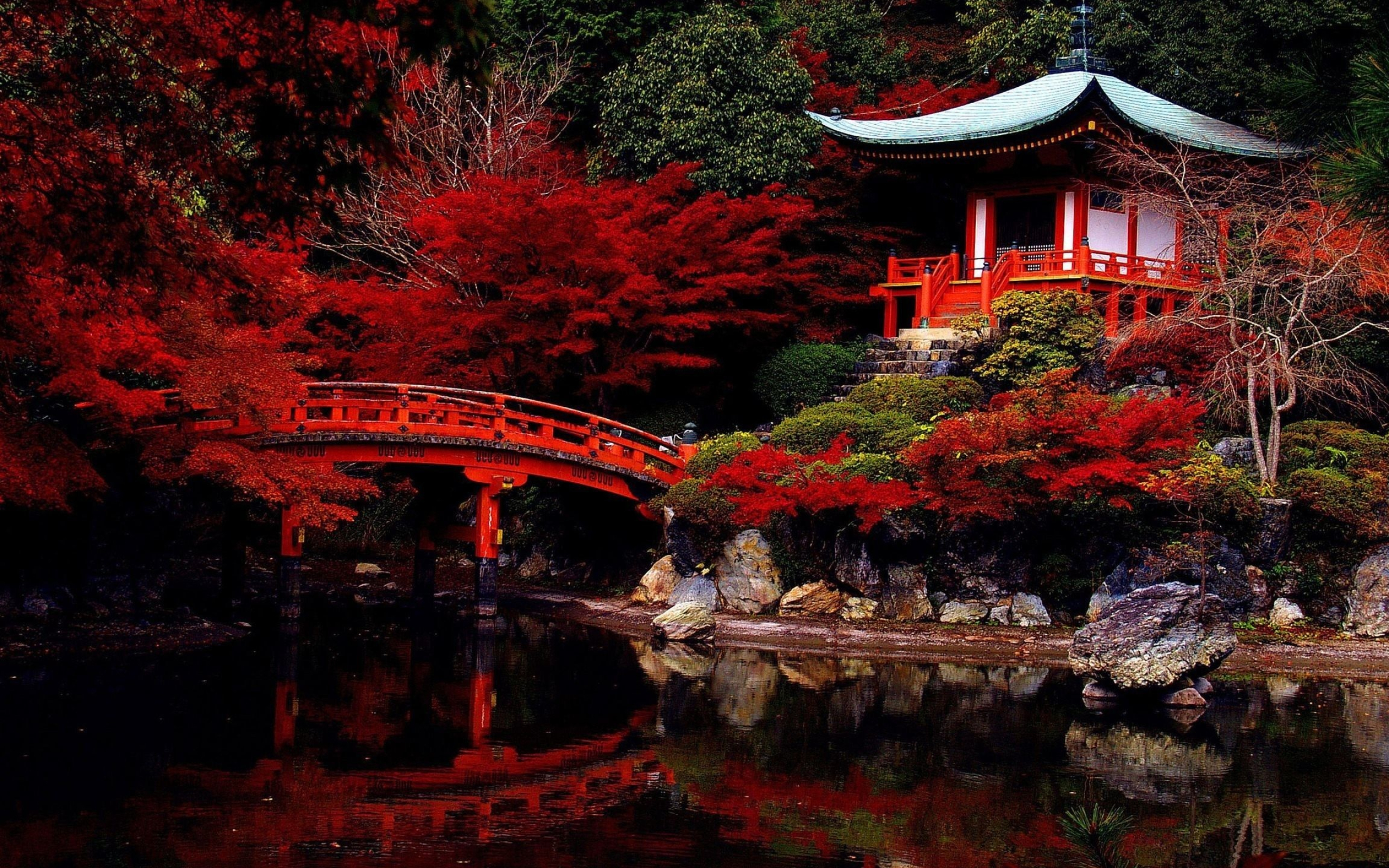 Daigo-ji Temple, Kyoto Wallpaper, 2560x1600 HD Desktop