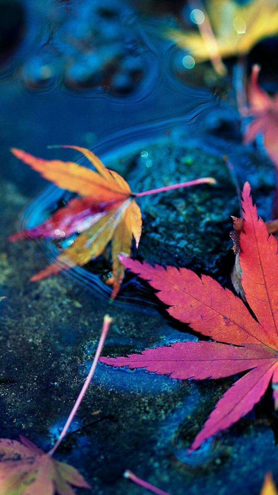 Colored leaf wallpapers, Tonal diversity, Nature's hues, Organic palette, 1080x1920 Full HD Phone