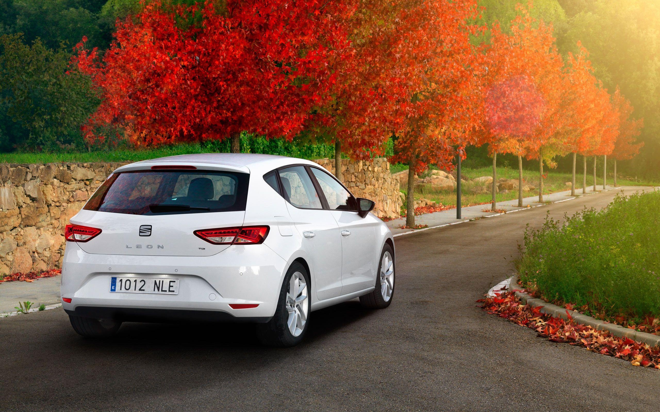 Seat Leon, Sporty elegance, Powerful drive, Dynamic performance, 2560x1600 HD Desktop