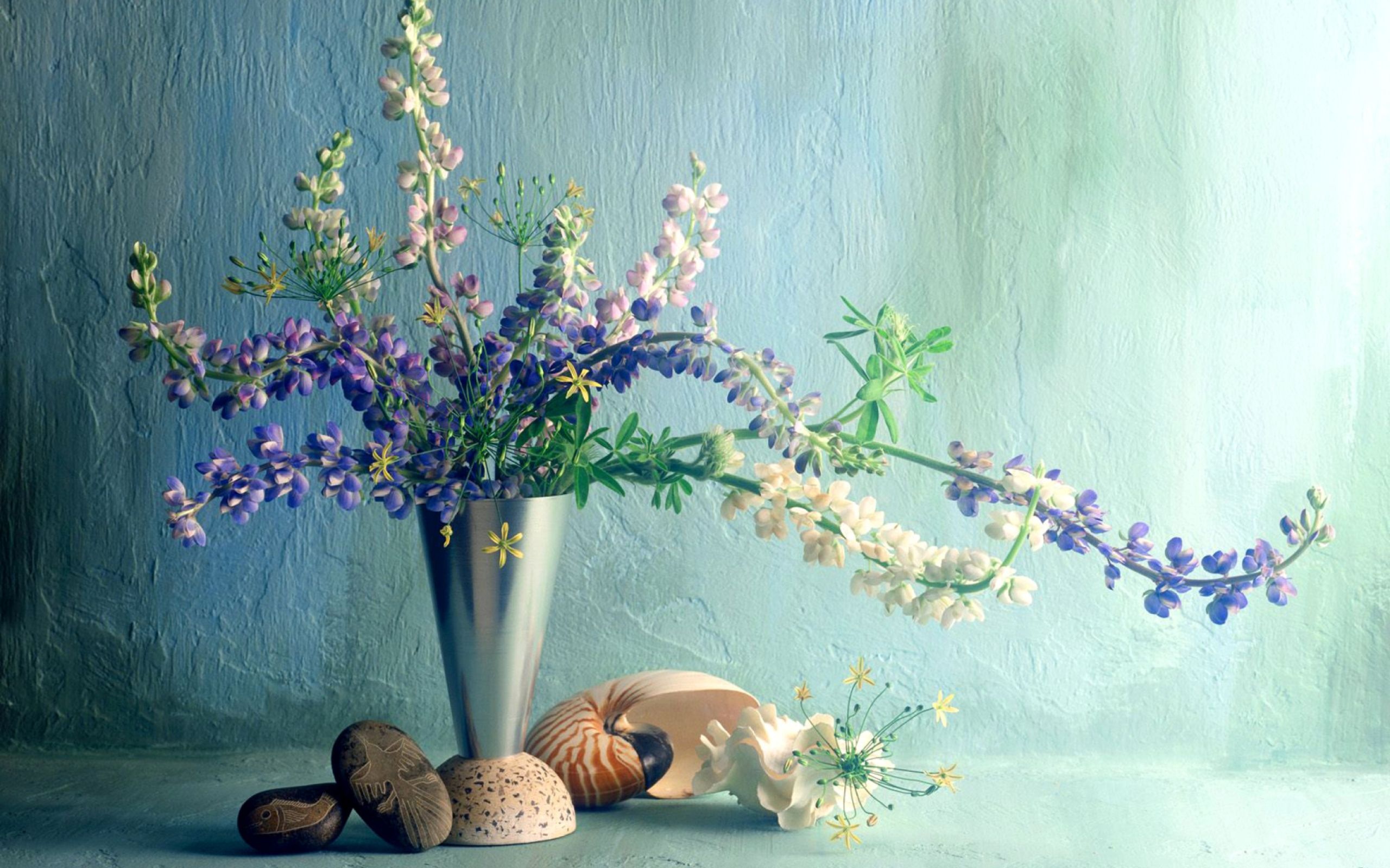 Lupines, Ikebana Wallpaper, 2560x1600 HD Desktop