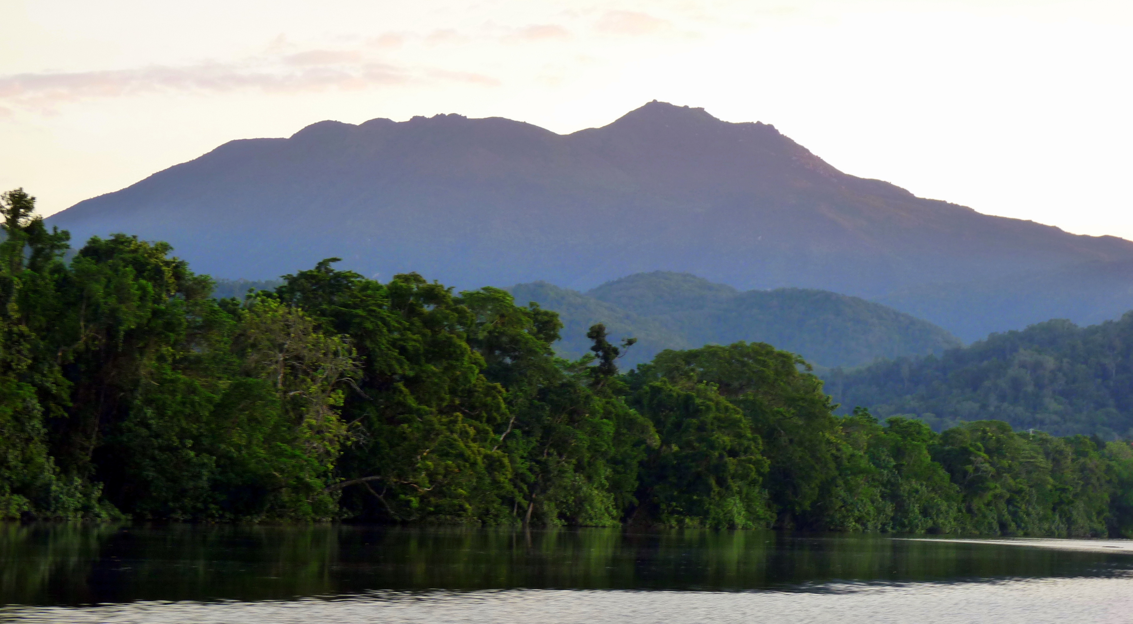 The Daintree River, Wild wings, Swampy things, Queensland, 3640x2010 HD Desktop