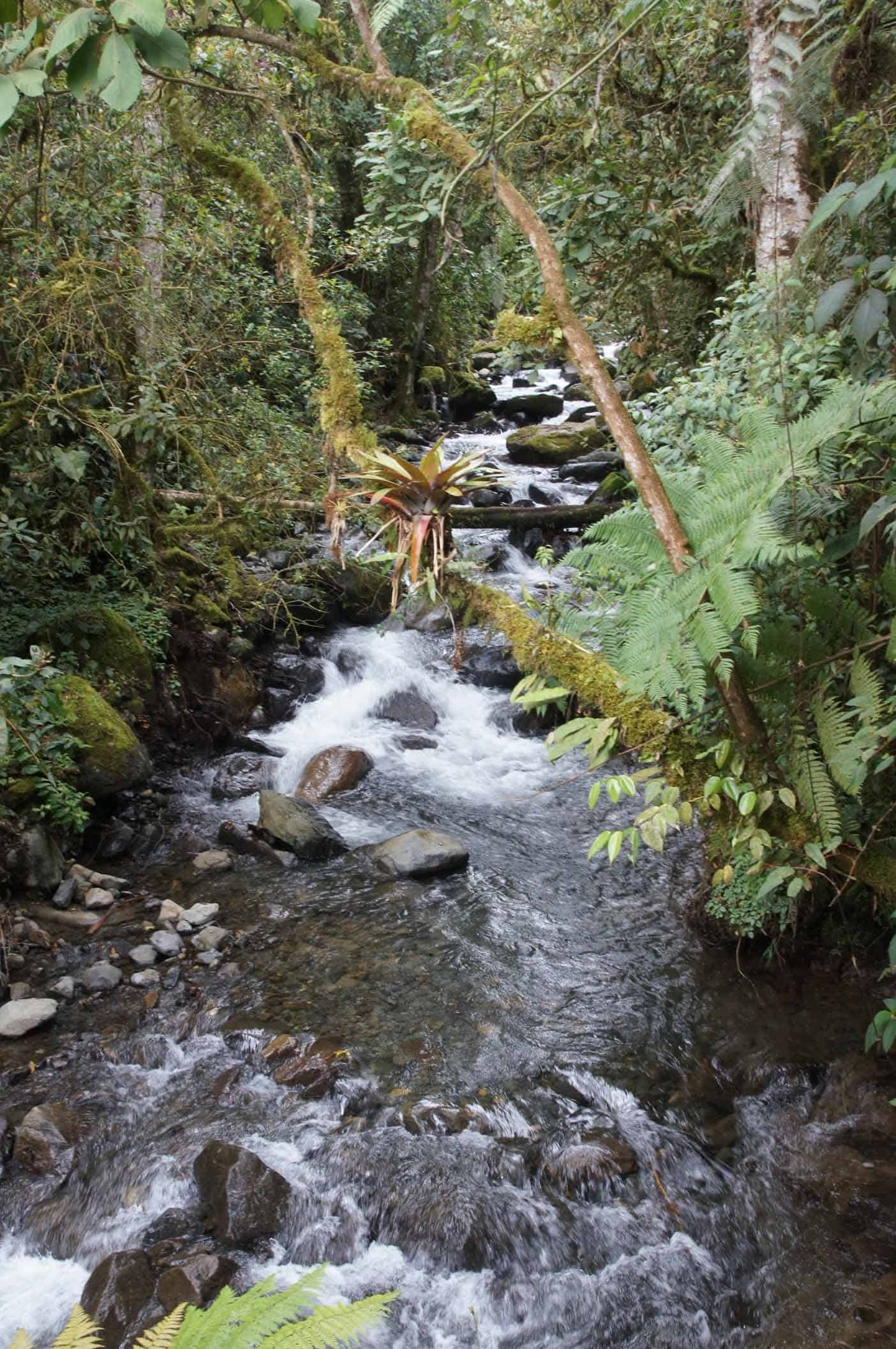 Amistad National Park travels, Guadalupe gezin, Wandelen in la amistad, National park, 1410x2120 HD Phone