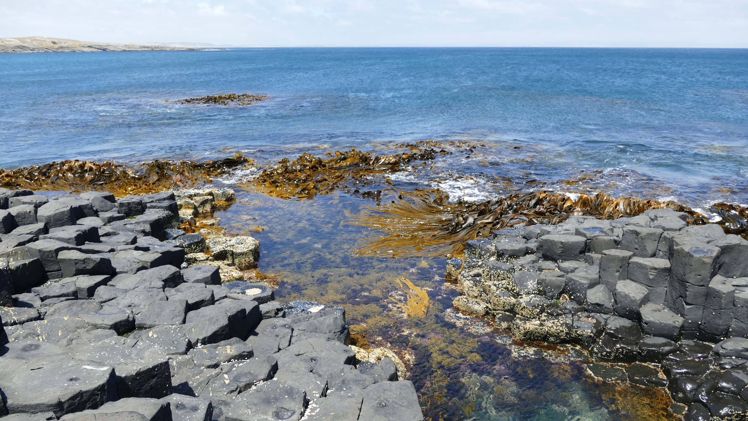 Northern Ireland, Basalt column, Giants Causeway, 2560x1440 HD Desktop