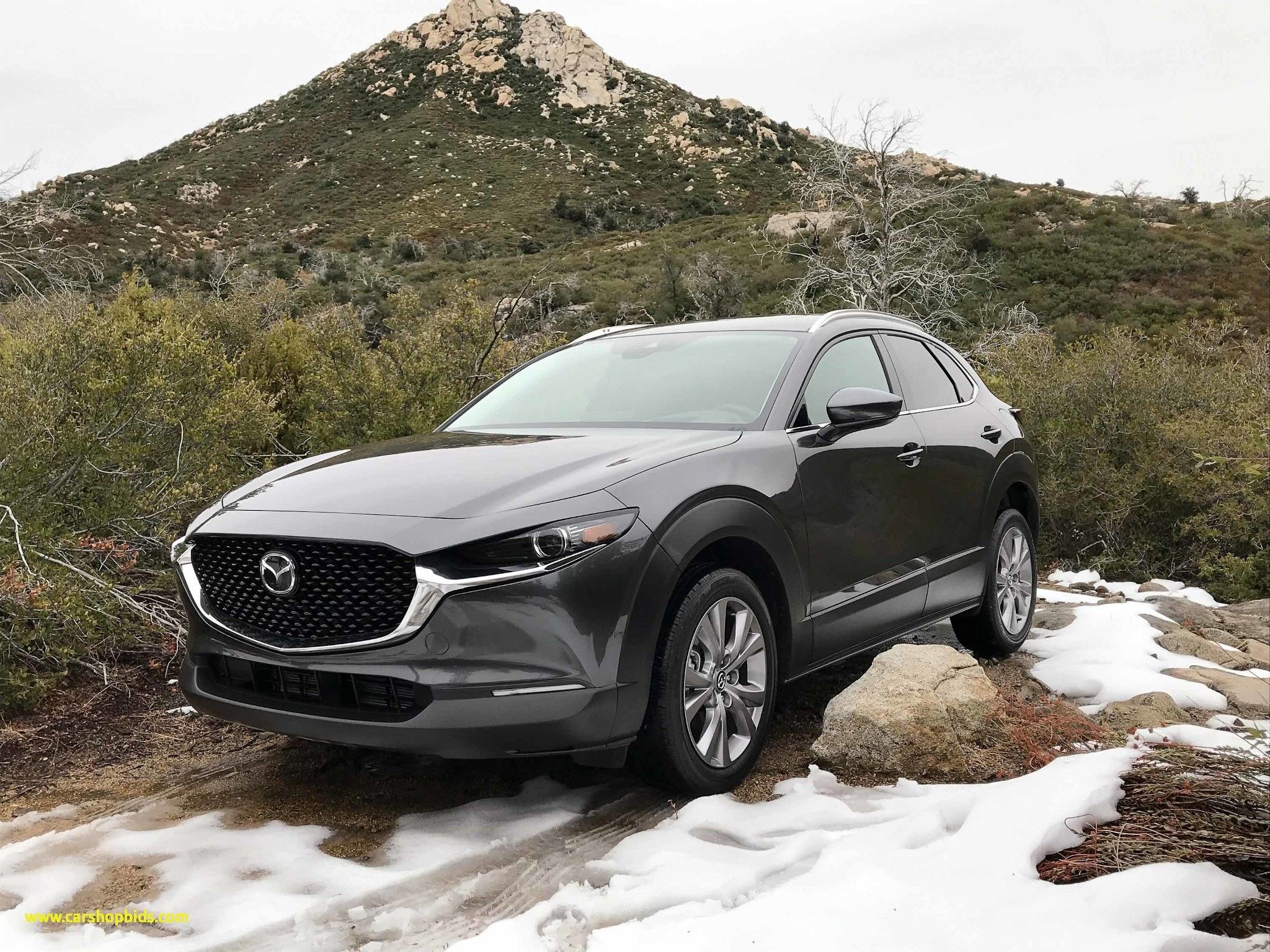 Mazda CX-30, Comparison, CX-3 vs CX-30 vs CX-5, Mazda SUVs, 2050x1540 HD Desktop