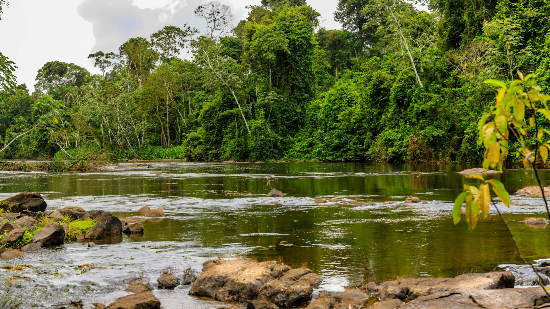 Suriname travels, Guyana expedition, Cultural immersion, Adventure tour, 1920x1080 Full HD Desktop