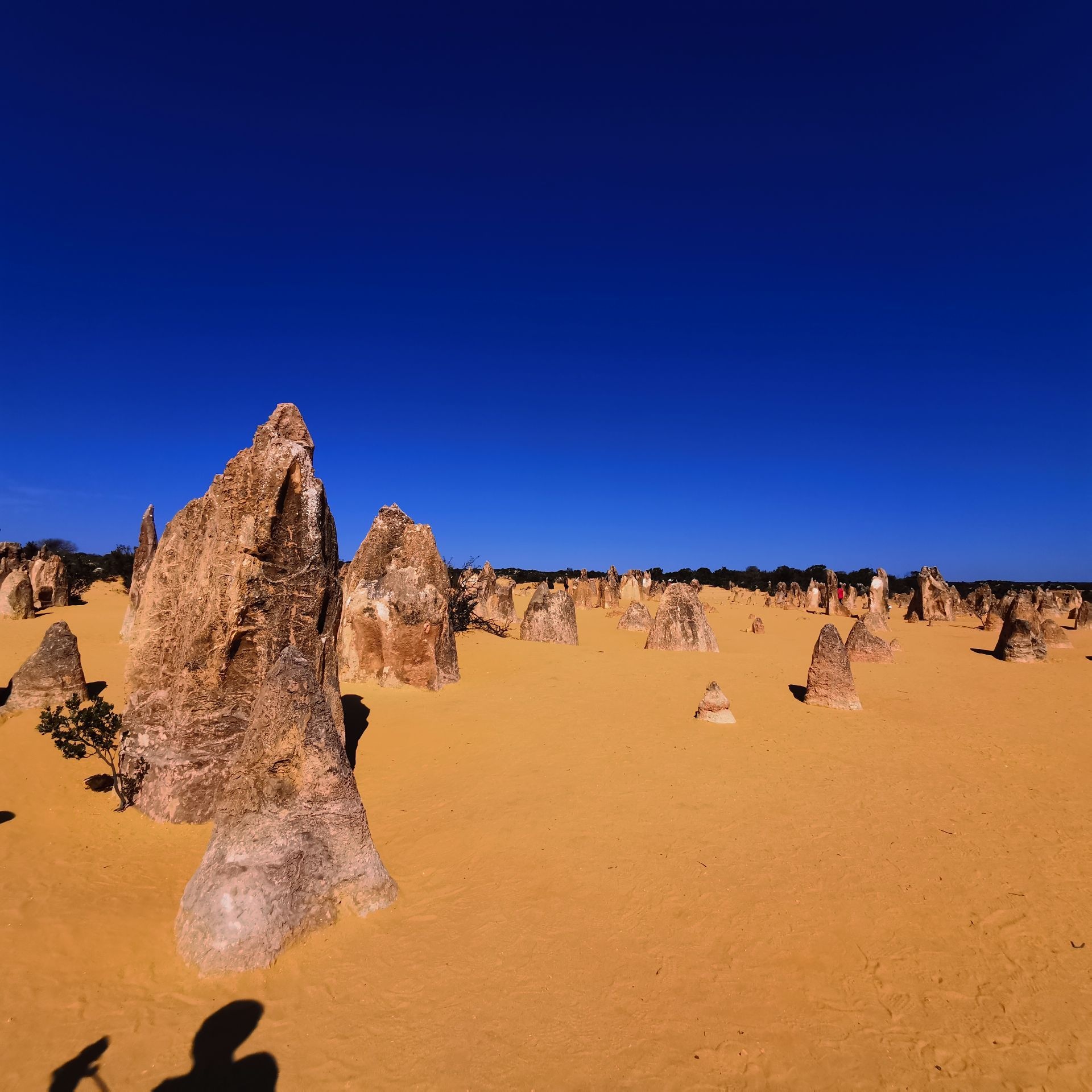 Nambung National Park, Ancient limestone formations, Unique natural wonder, Desert landscape, 1920x1920 HD Phone