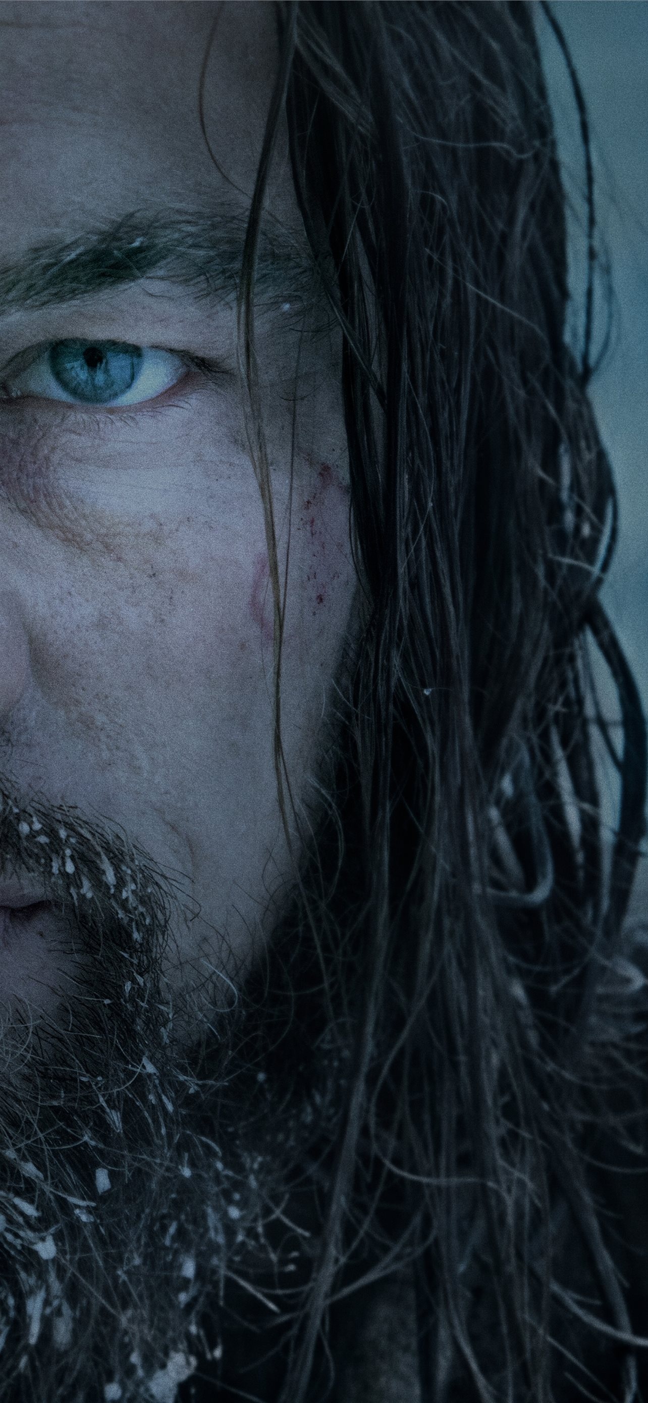 The Revenant, Captivating wallpapers, Leonardo DiCaprio, Stellar performance, 1290x2780 HD Phone