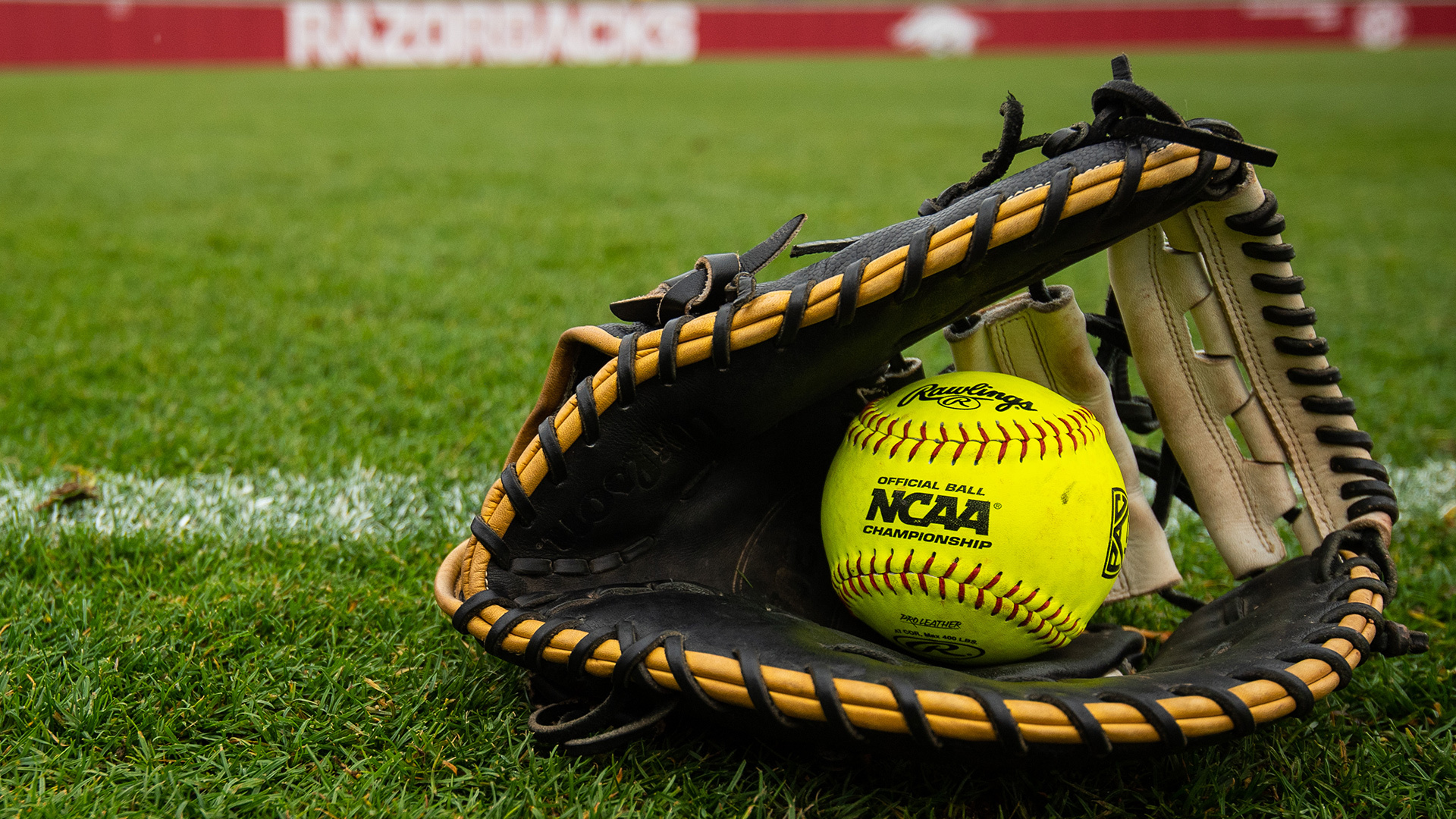 Softball sports, Arkansas softball, Fall schedule, Razorbacks, 1920x1080 Full HD Desktop