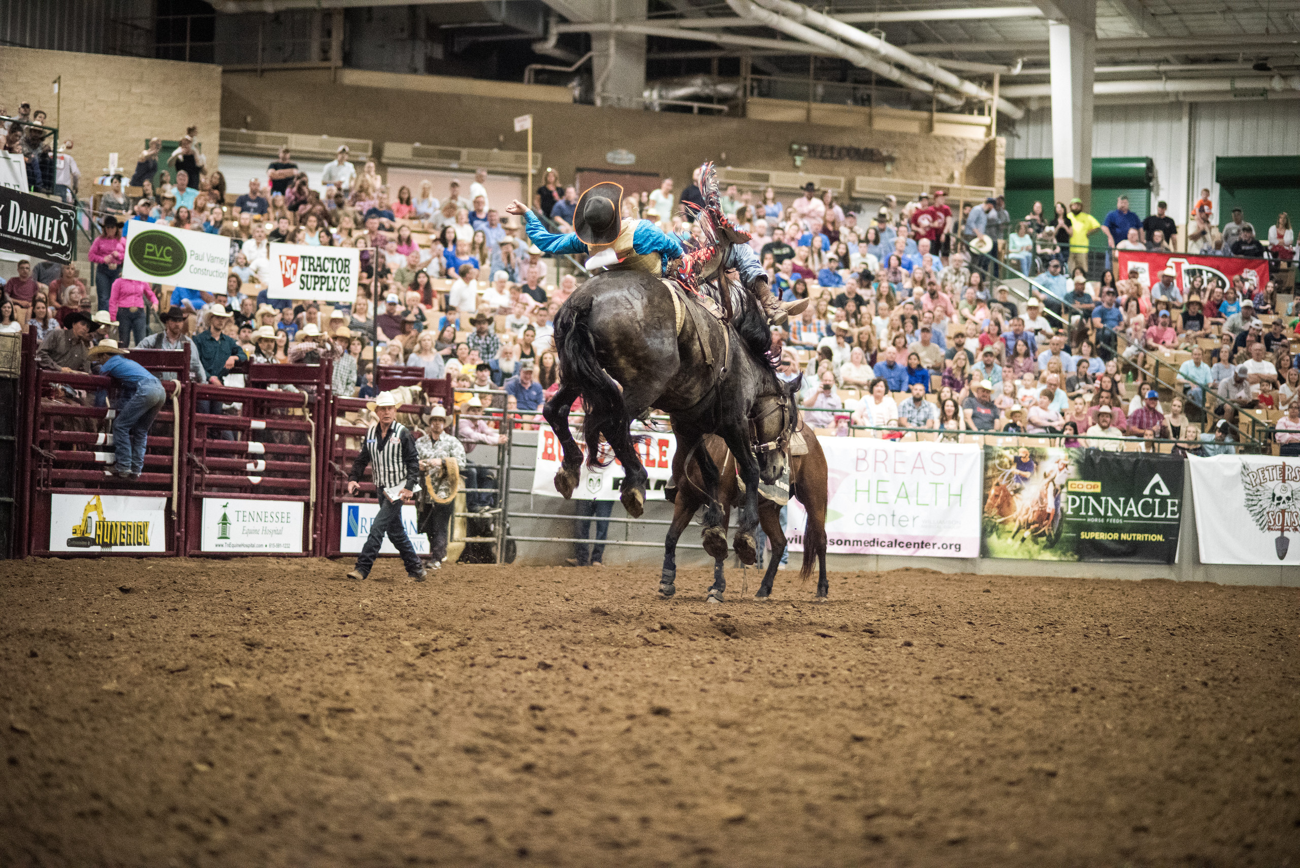 Photo gallery, Franklin Rodeo, Multimedia, 2560x1710 HD Desktop