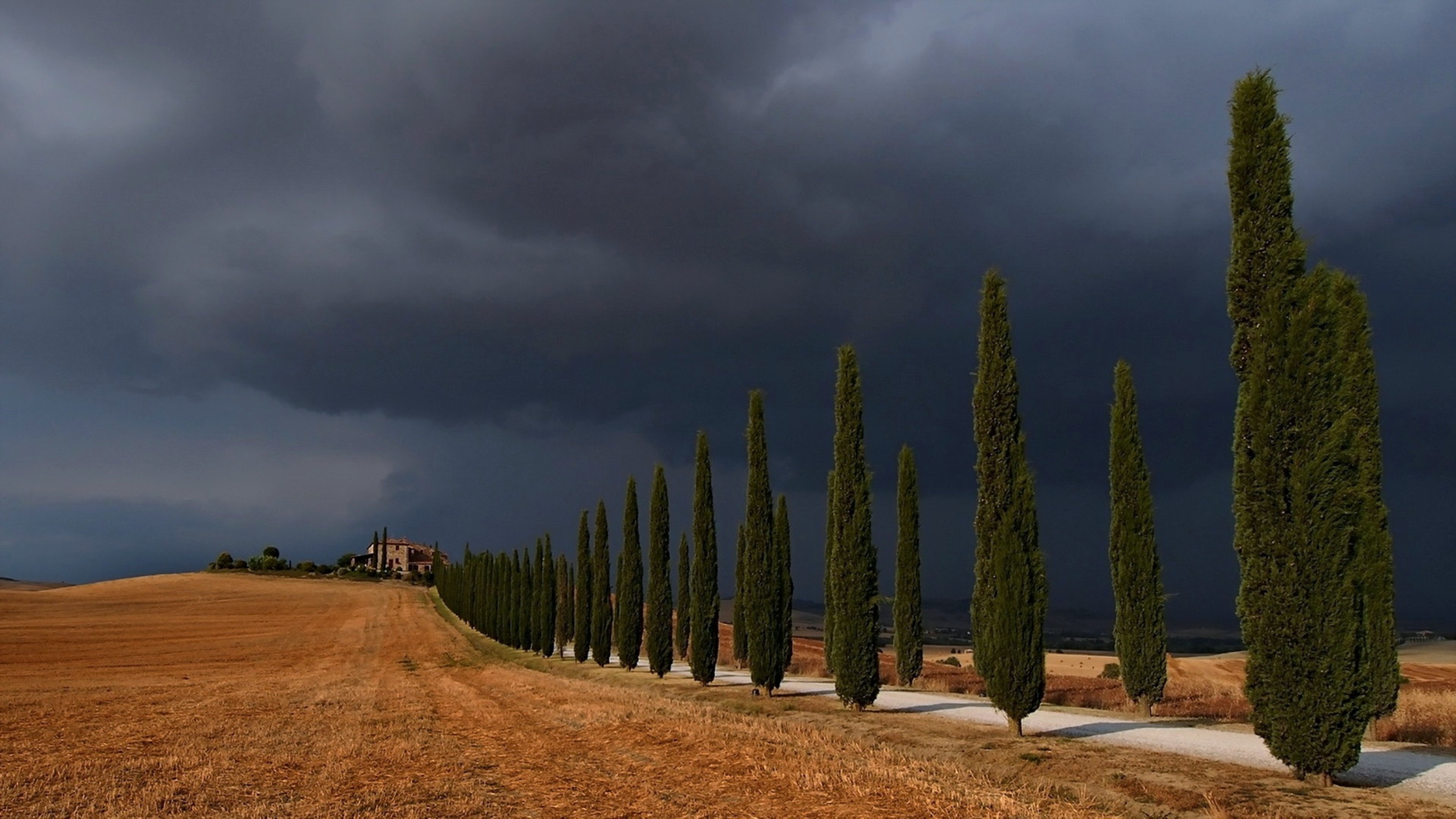 Val d'Orcia, Cypress Tree Wallpaper, 3840x2160 4K Desktop