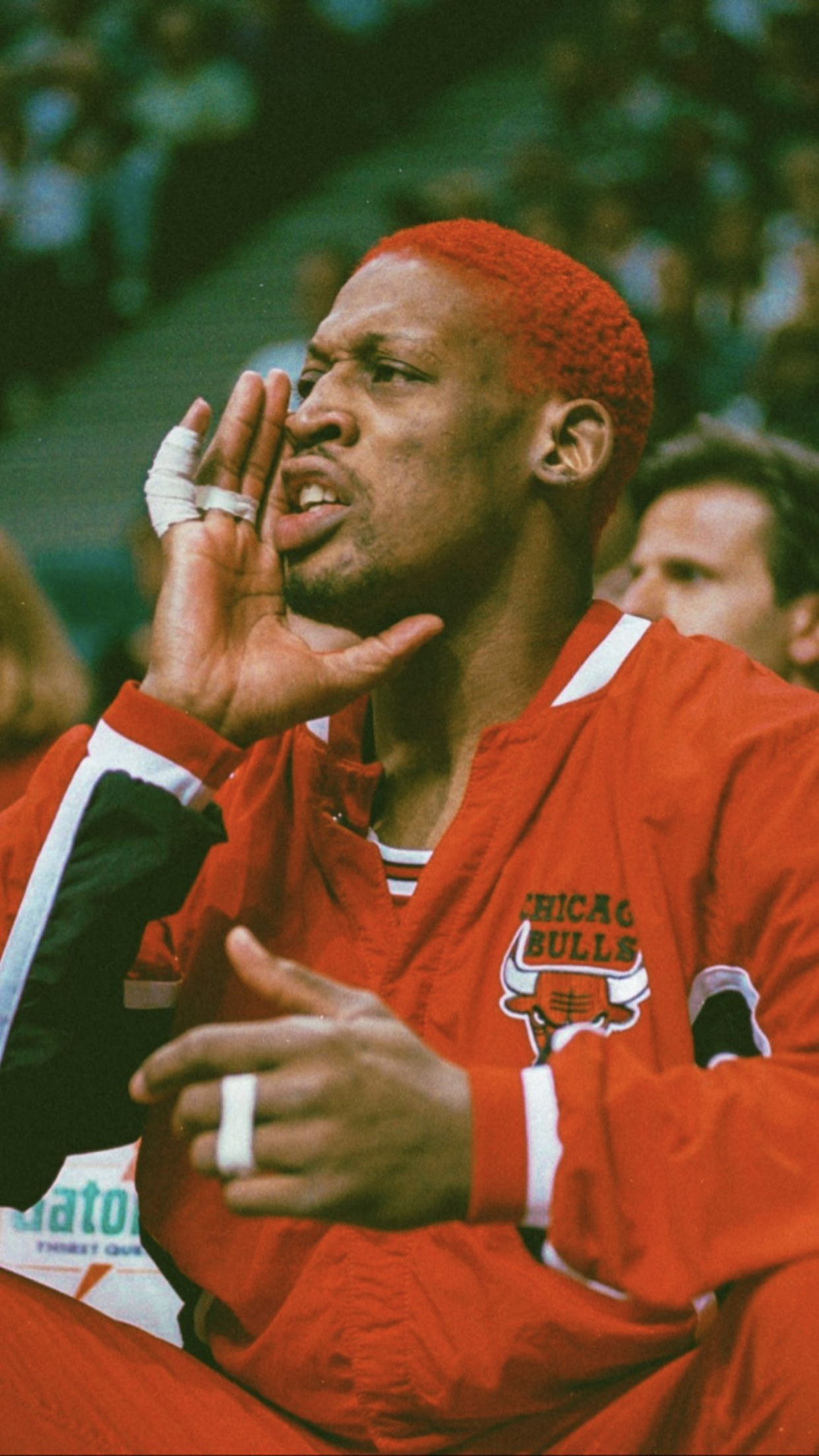 Bulls, Dennis Rodman pin, 1250x2210 HD Phone