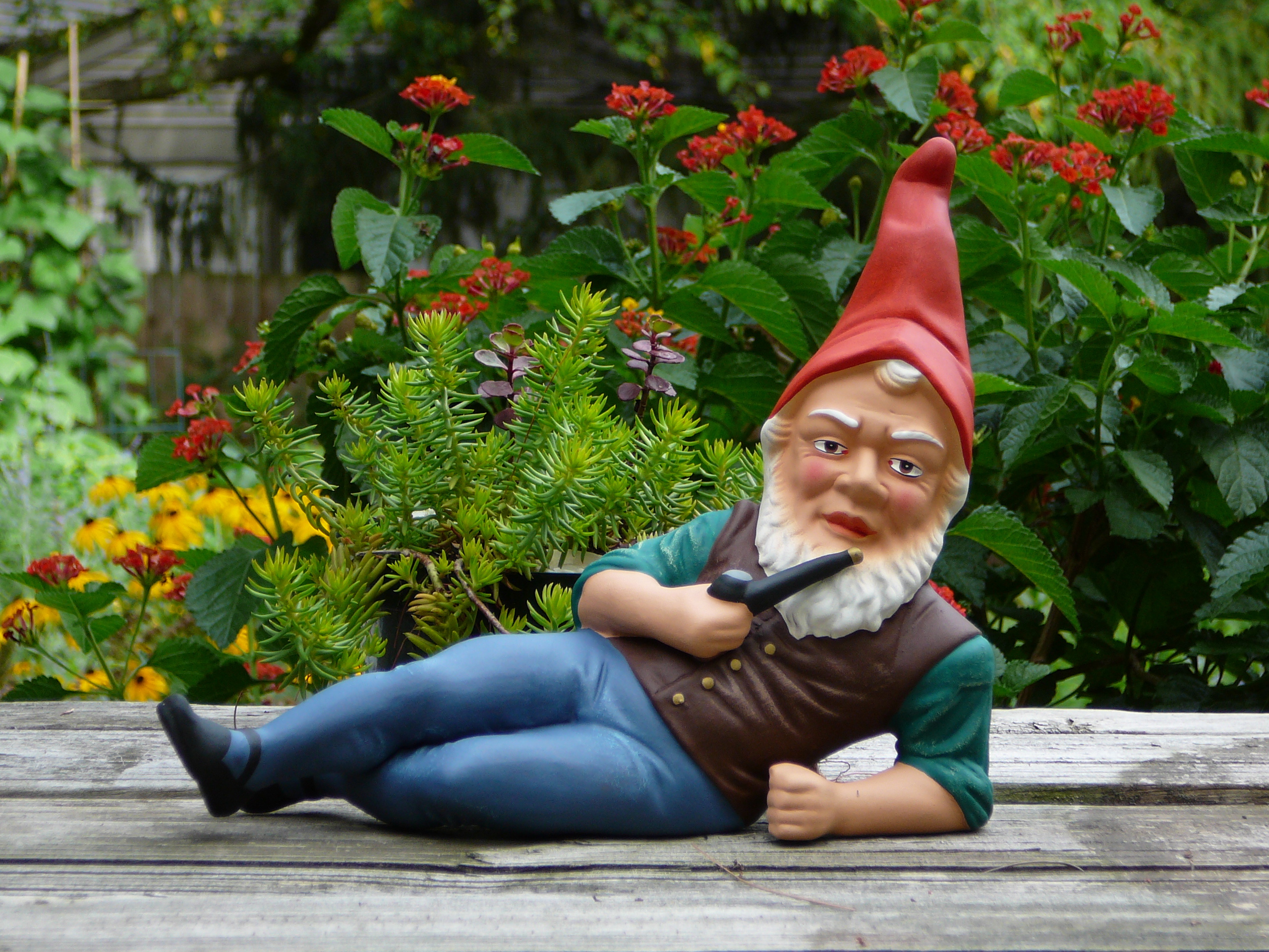 Garden gnome, Gnome Wallpaper, 2560x1920 HD Desktop