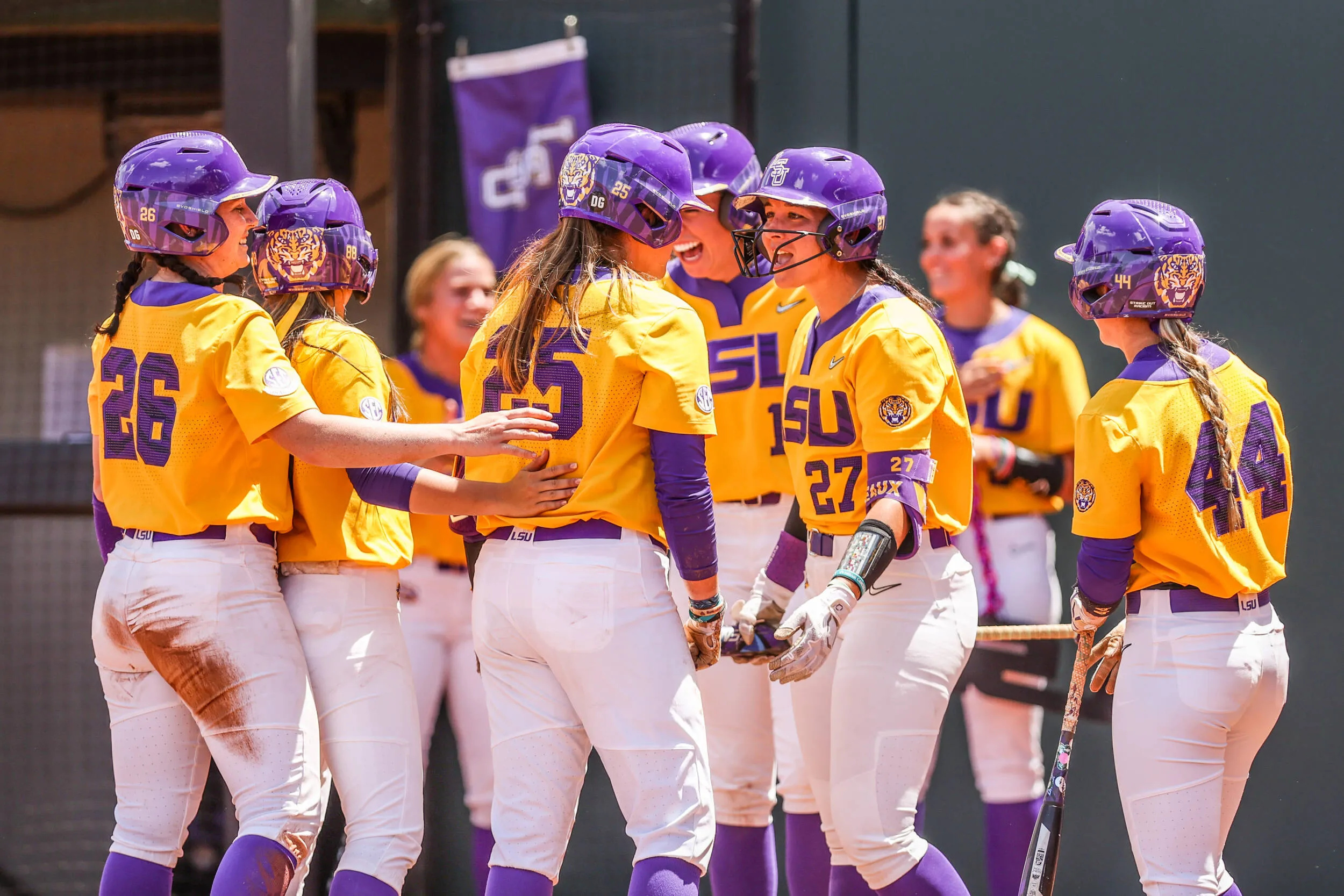 LSU vs. Georgia, Softball Wallpaper, 2500x1670 HD Desktop