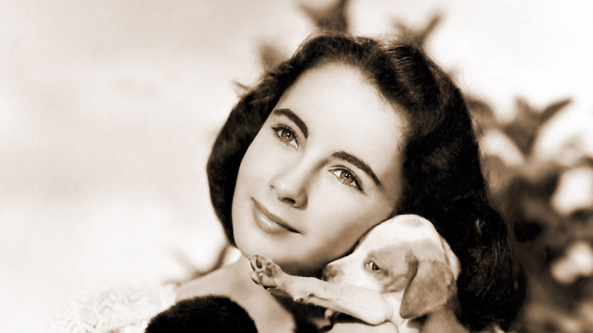 National Velvet, Elizabeth Taylor Wallpaper, 1920x1080 Full HD Desktop