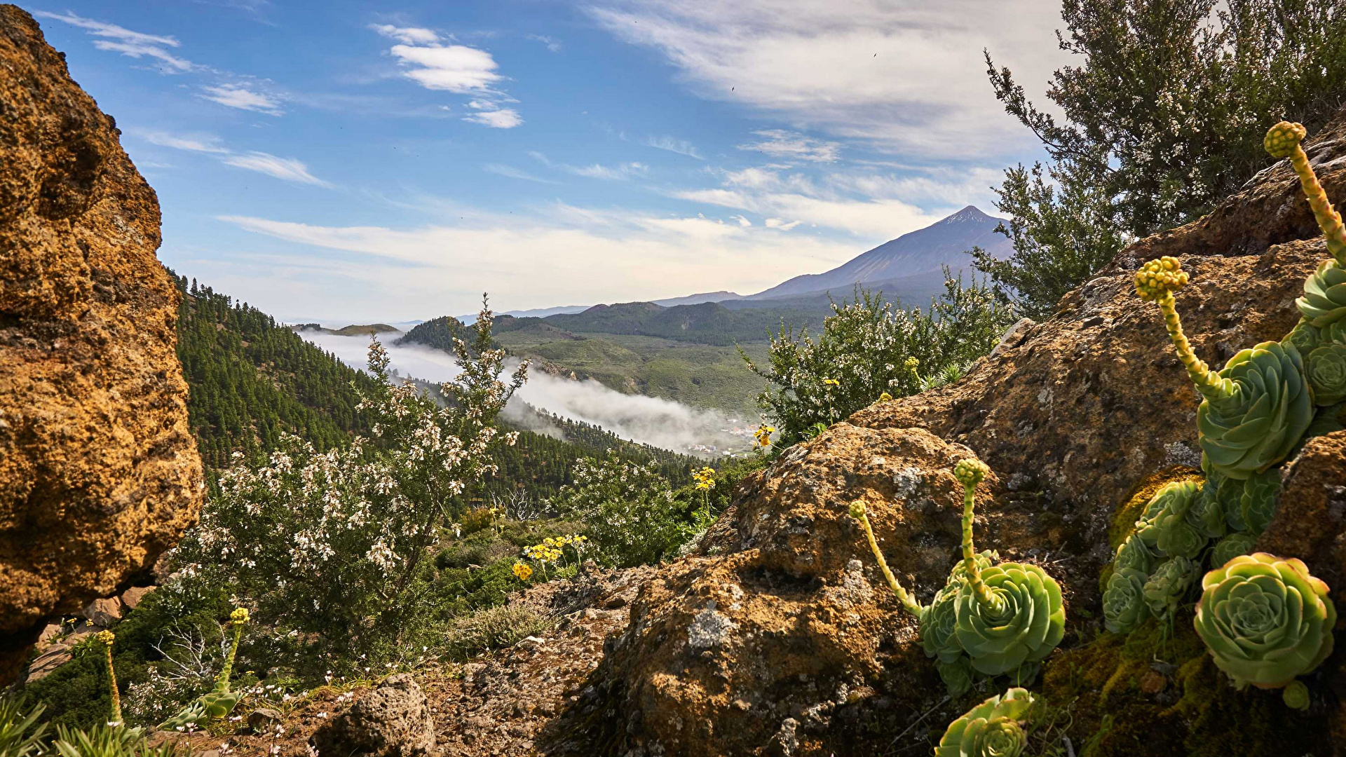 Canary Islands wallpapers, Tenerife nature scenery, Sky backgrounds, Free downloads, 1920x1080 Full HD Desktop