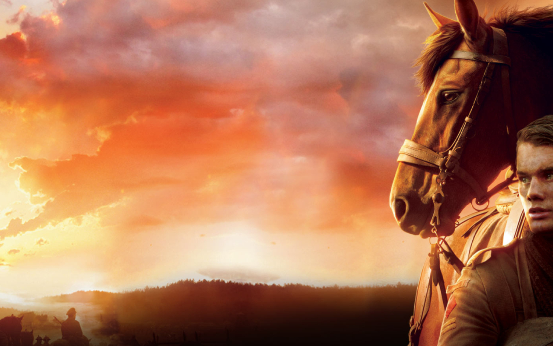 War Horse, Majestic warhorse, HQ wallpapers, Stunning visuals, 1920x1200 HD Desktop