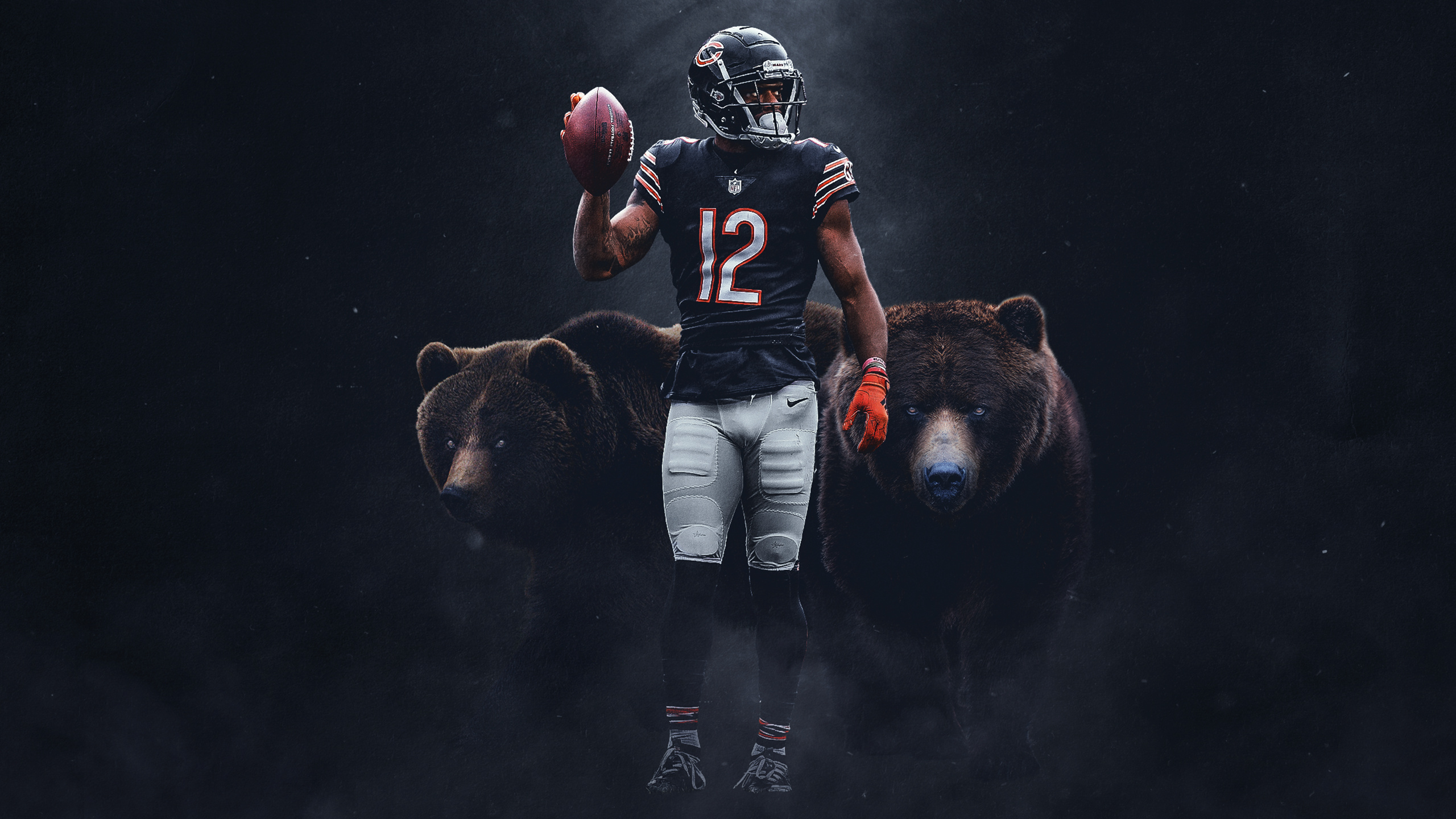 Chicago Bears, Wallpapers, 2560x1440 HD Desktop