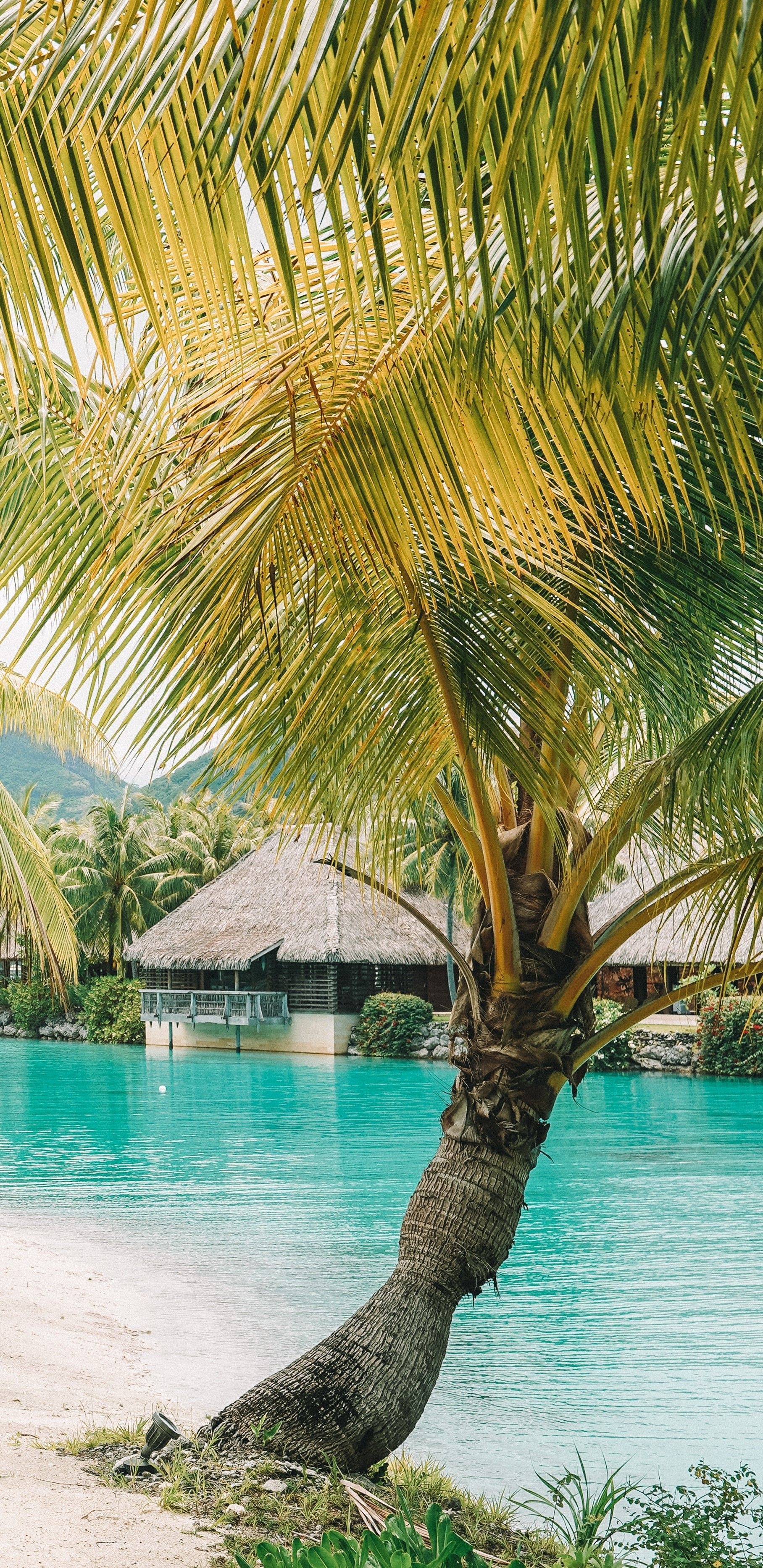 Travels, Bungalow, Bora Bora, French Polynesia, 1820x3740 HD Phone