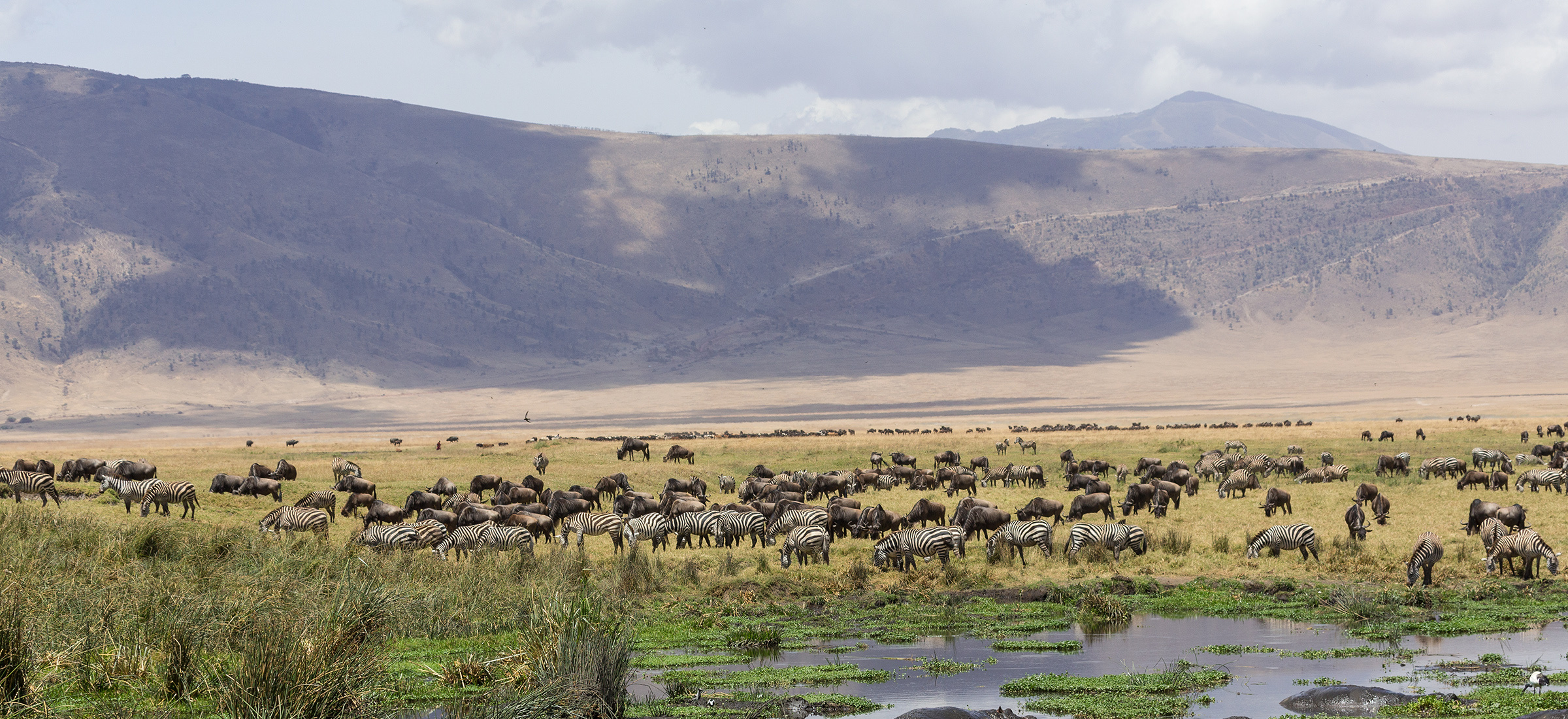 Ngorongoro Crater Safari, 03 days, Ngorongoro Safari, 2400x1100 Dual Screen Desktop