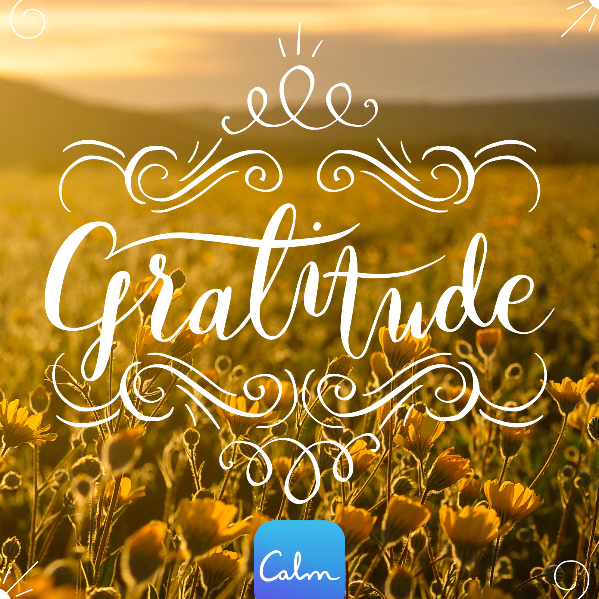 Gratitude calm blog, Calmness through gratitude, Mindful practice, Inner peace, 1920x1920 HD Phone