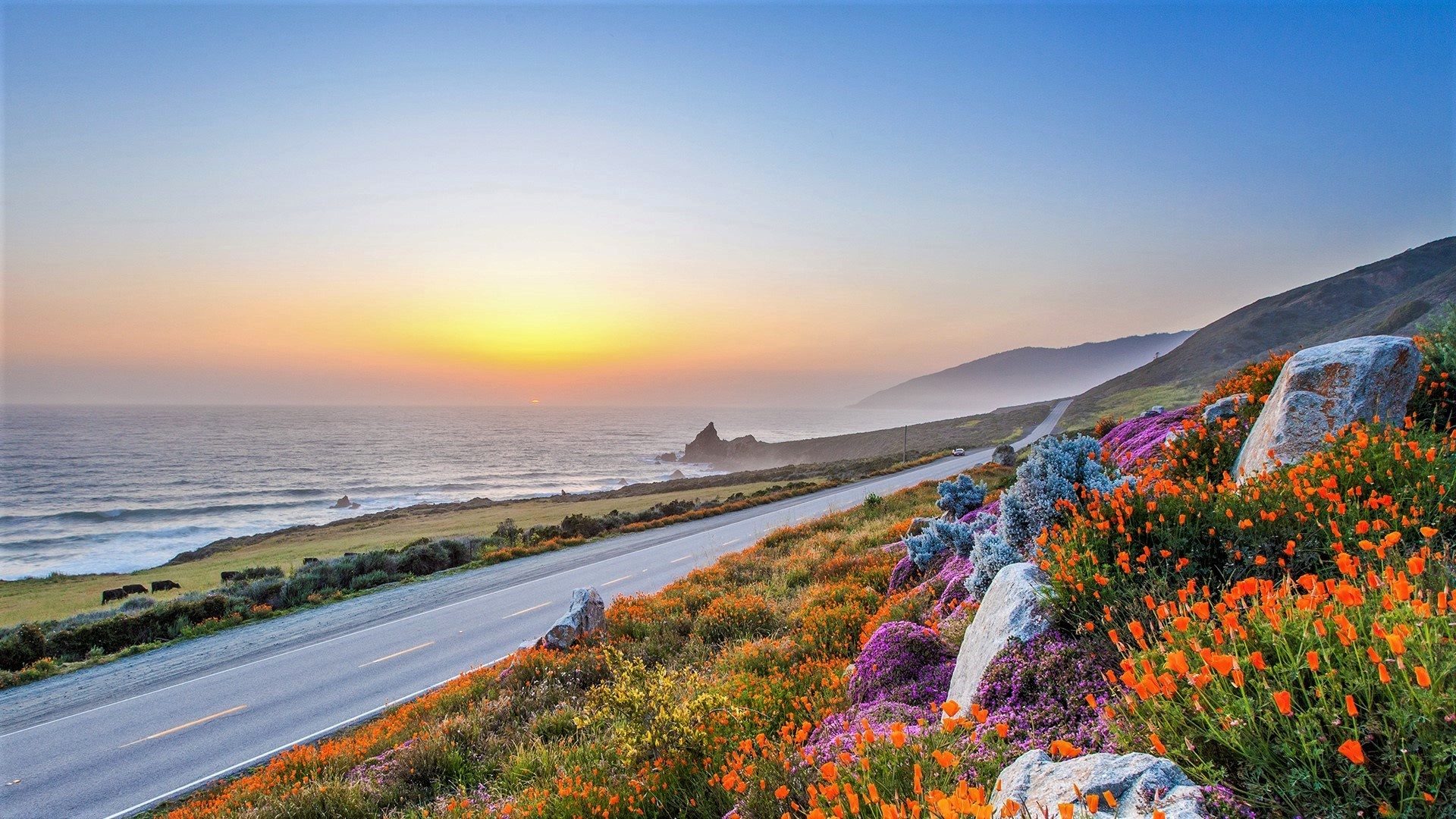 Road in Big Sur, California dreamscape, Scenic route, Nature's pathway, 1920x1080 Full HD Desktop