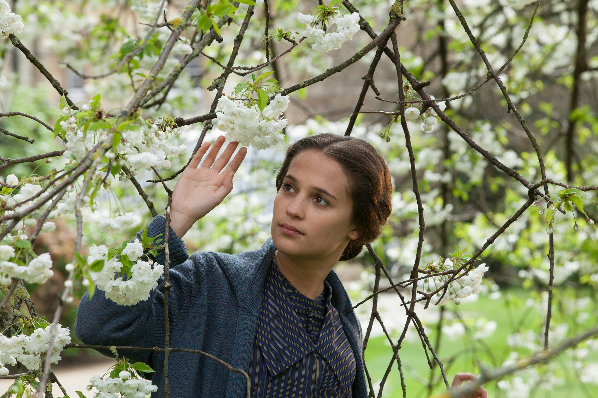 Testament of Youth, Recalls the Great War, 2050x1370 HD Desktop