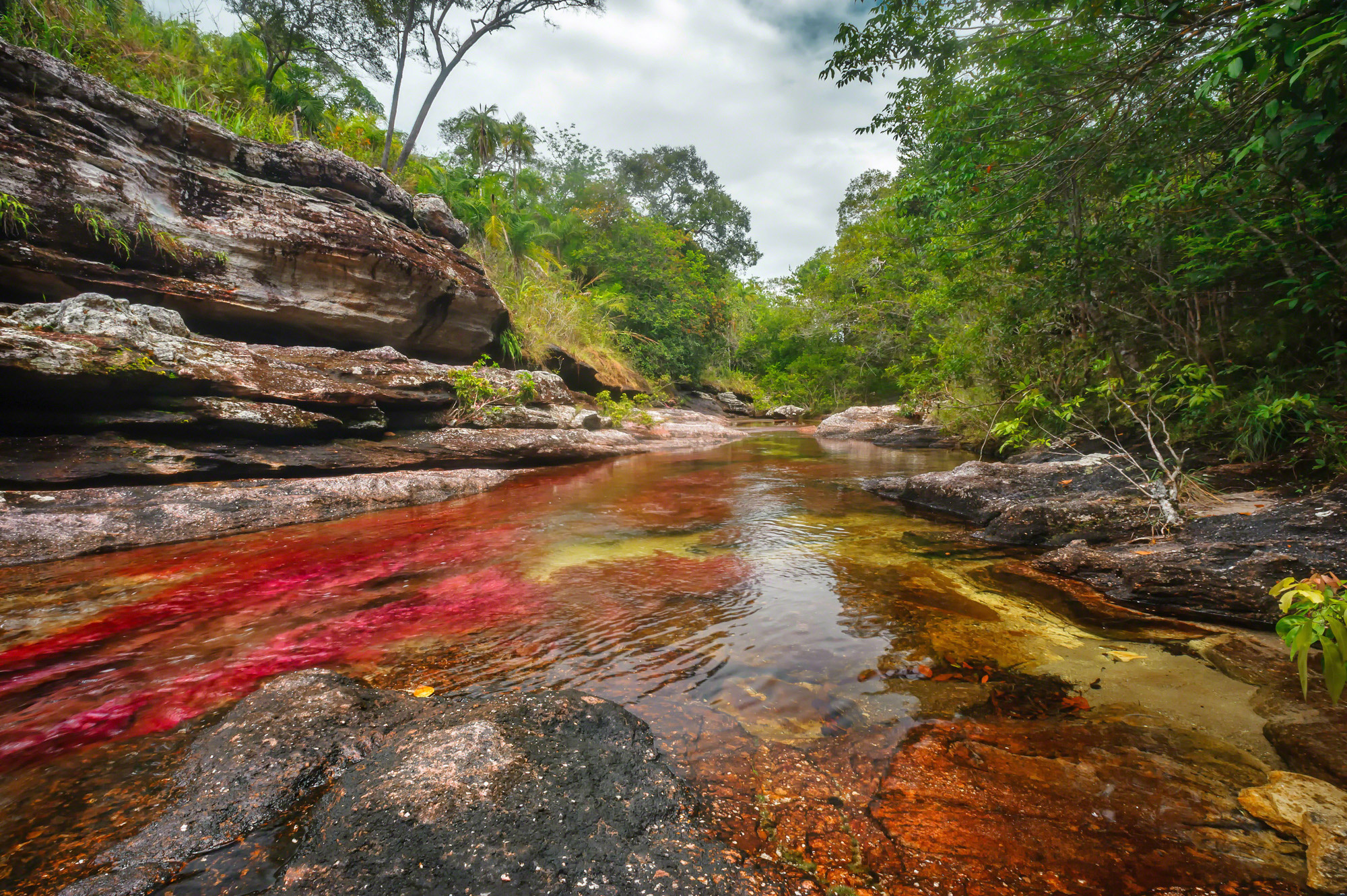 Serrania de la Macarena, Cao Cristales discovery, River exploration, Scenic wonders, 2000x1340 HD Desktop