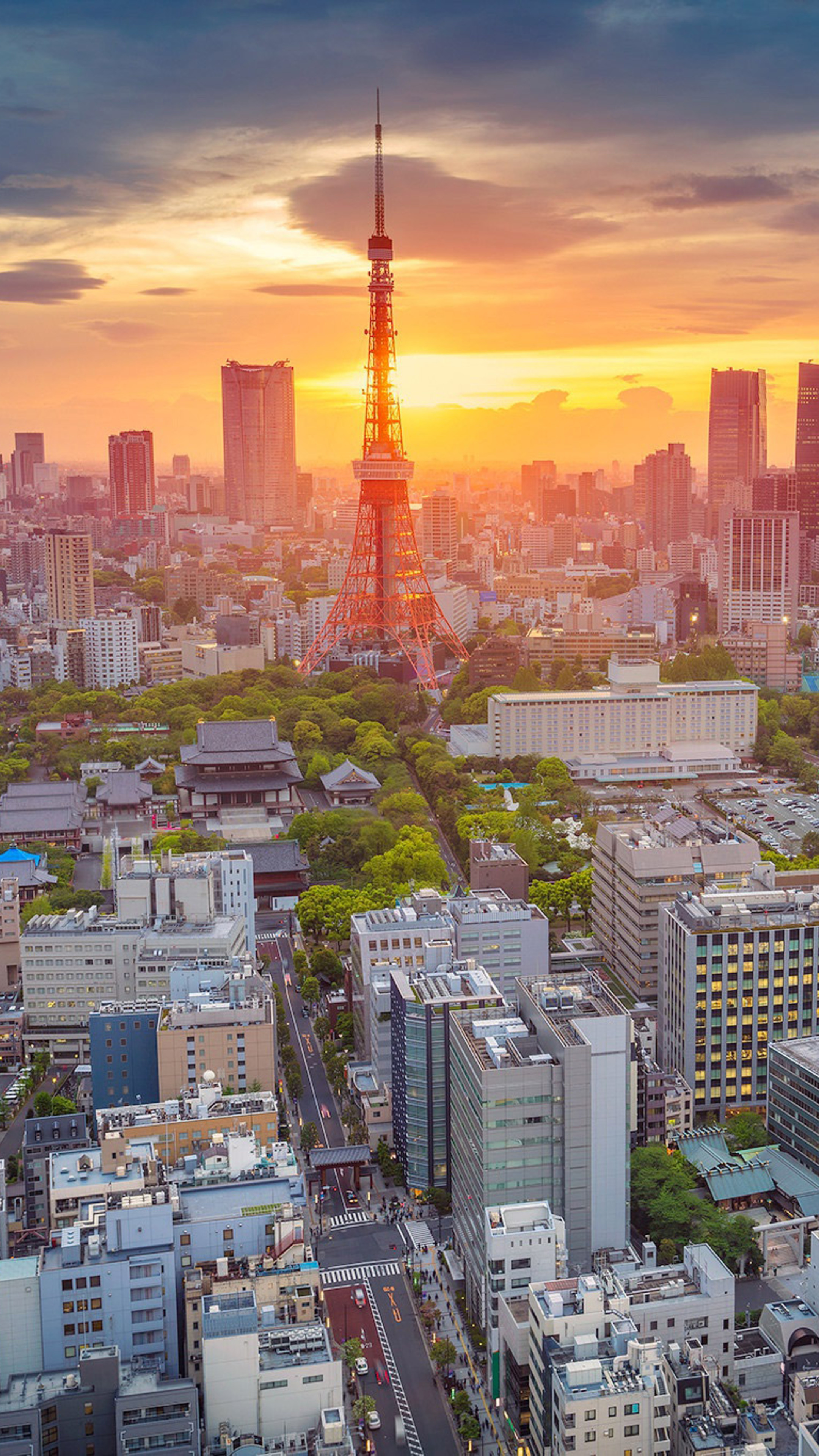 Aerial view, Tokyo Tower Wallpaper, 2160x3840 4K Phone