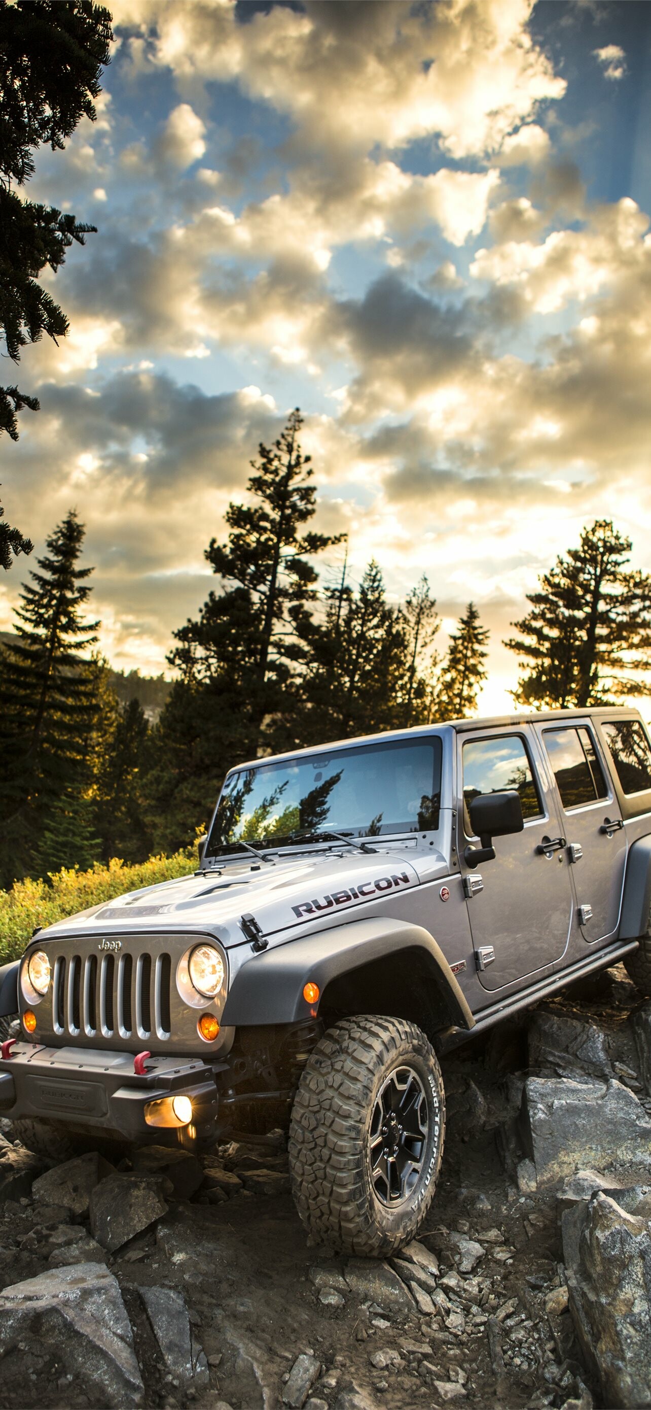 Jeep Wrangler Netcarshow, Car enthusiast's dream, Stunning visuals, Technical excellence, 1290x2780 HD Phone