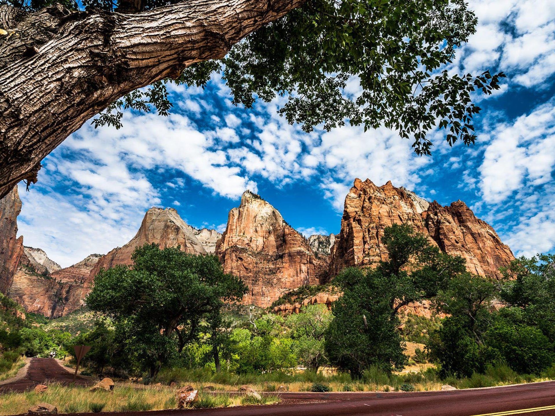 Zion national park, Springdale Utah, Breathtaking views, Scenic beauty, 1920x1440 HD Desktop