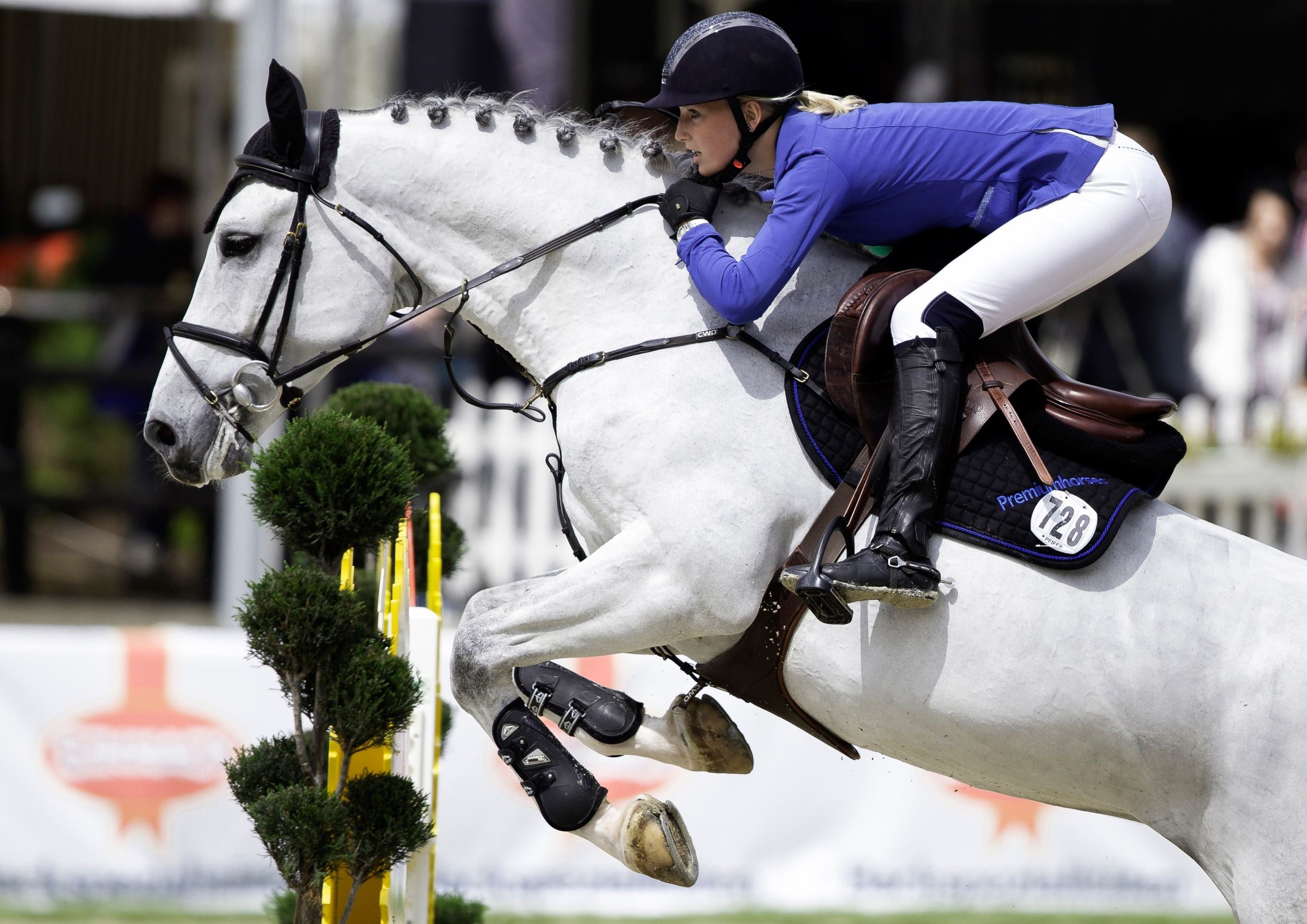 Hollie Doyle, Eventing Wallpaper, 2500x1770 HD Desktop