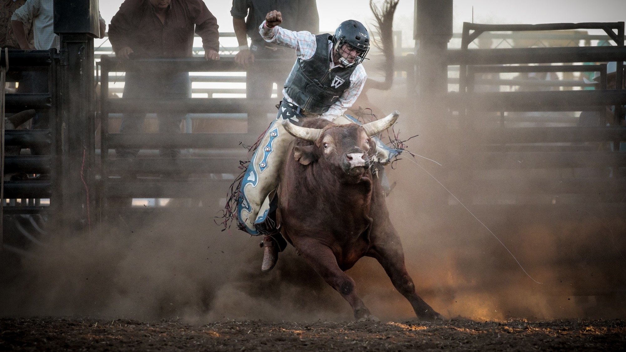 Exclusive bullriding visuals, Exciting competitions, Bullrider's determination, Majestic creatures, 2000x1130 HD Desktop