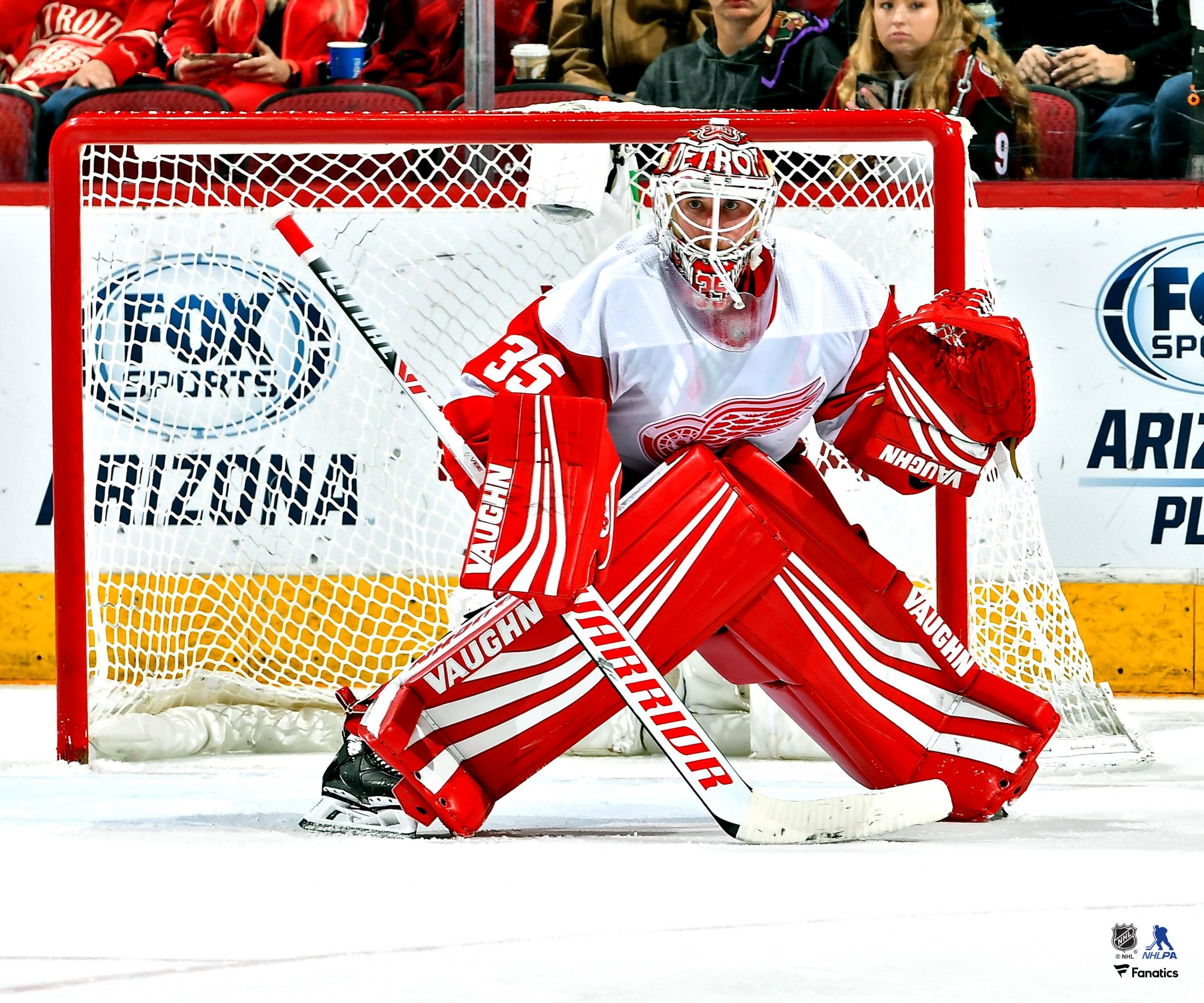 Gila River Arena, Jimmy Howard Wallpaper, 2500x2090 HD Desktop