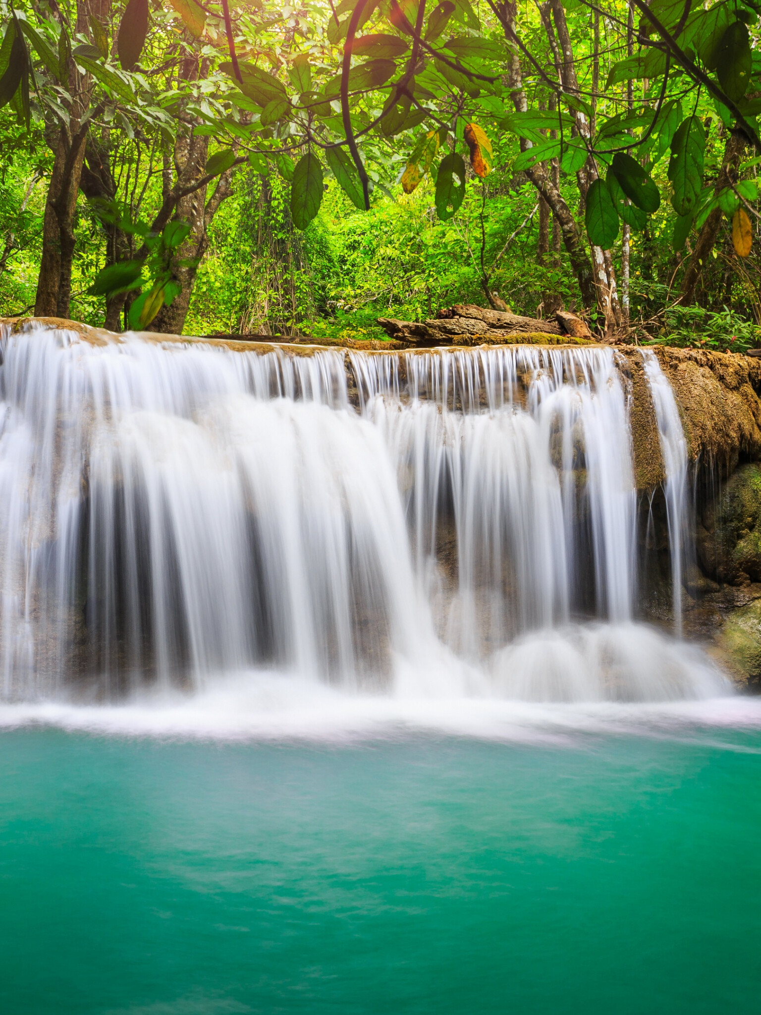 Rainforest waterfall, UHD desktop wallpaper, Nature's tranquility, Breathtaking scene, 1540x2050 HD Phone