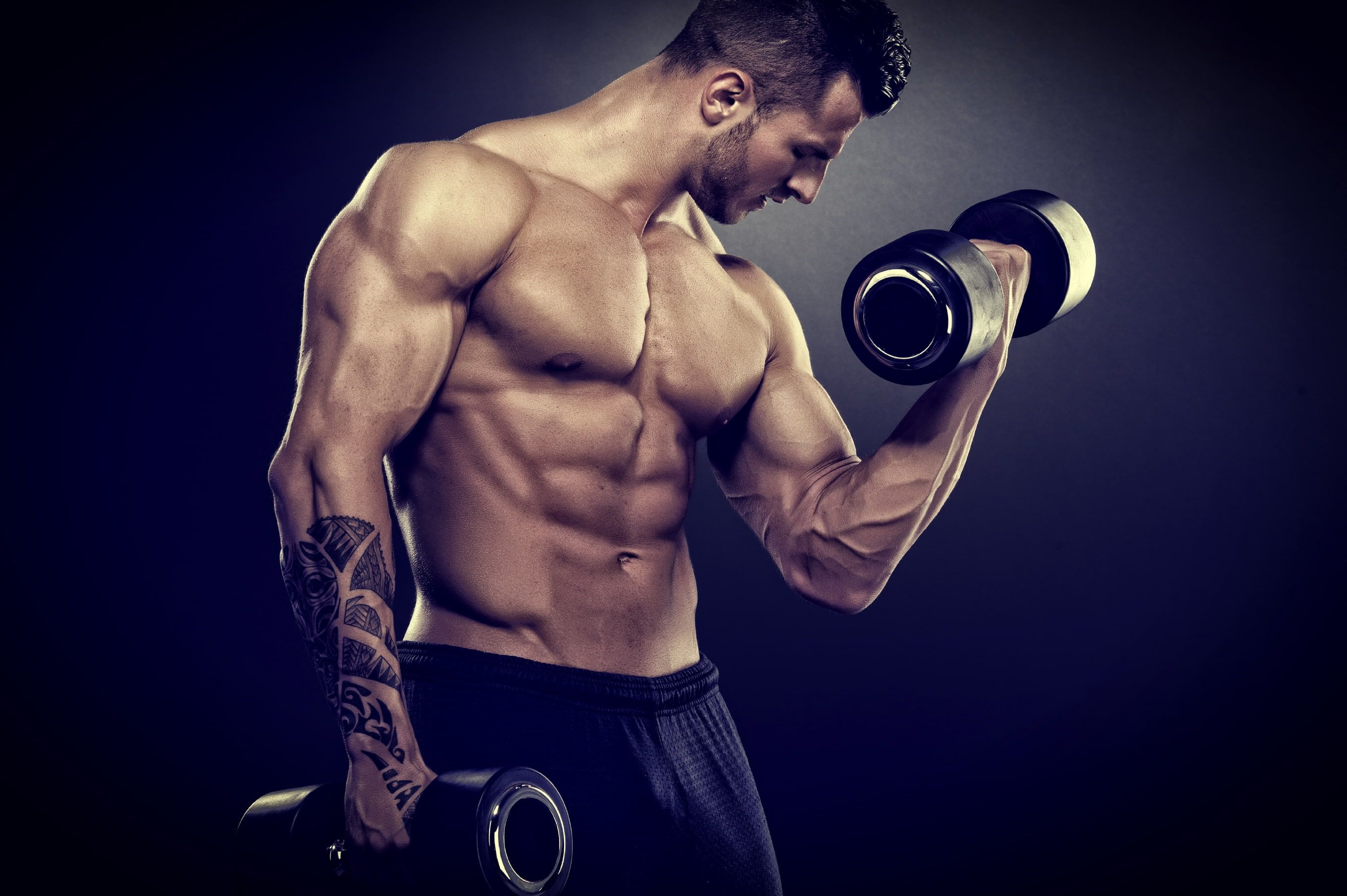 Dumbbells, Fitness Wallpaper, 2720x1810 HD Desktop