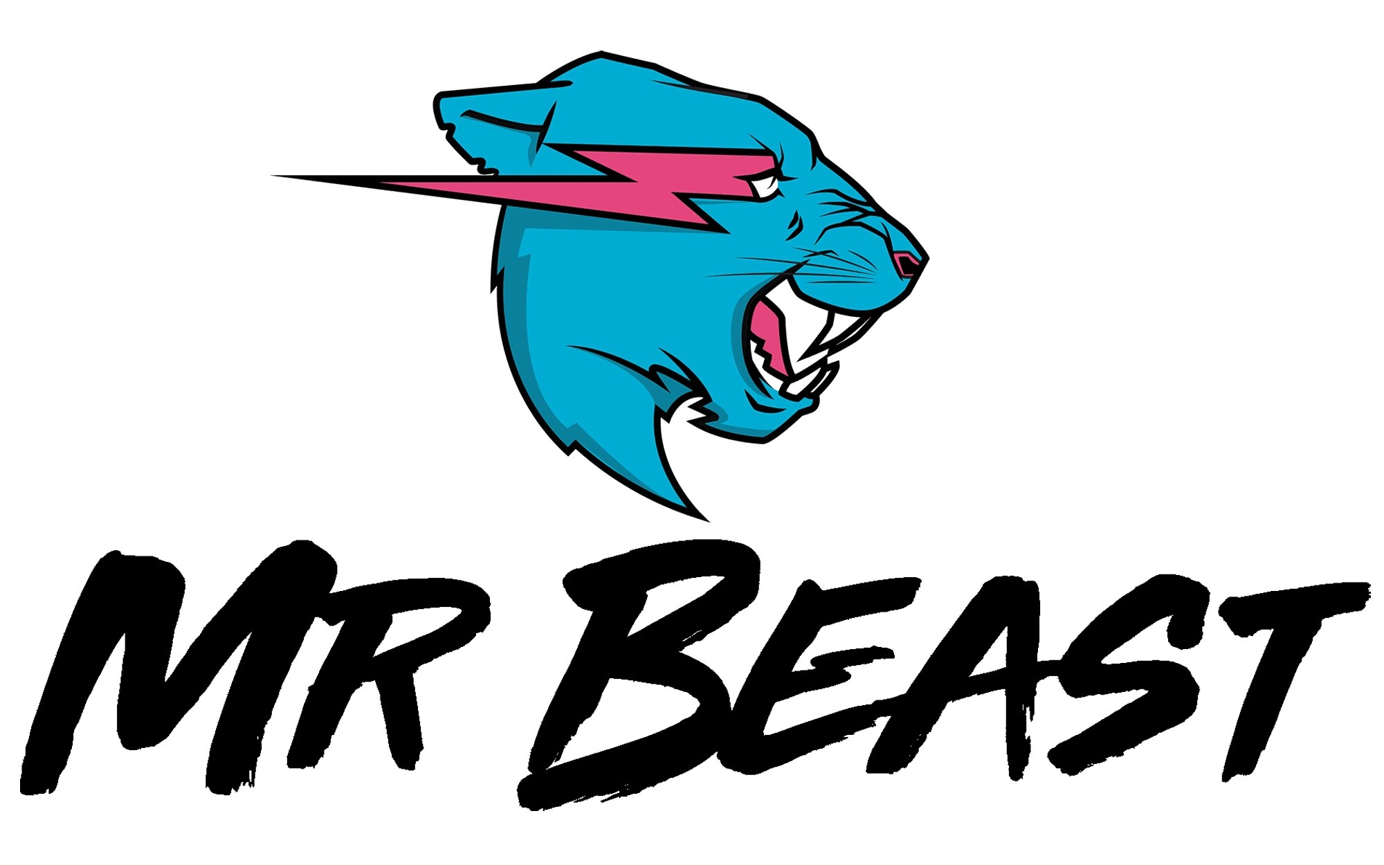 Logo, MrBeast Wallpaper, 2000x1250 HD Desktop