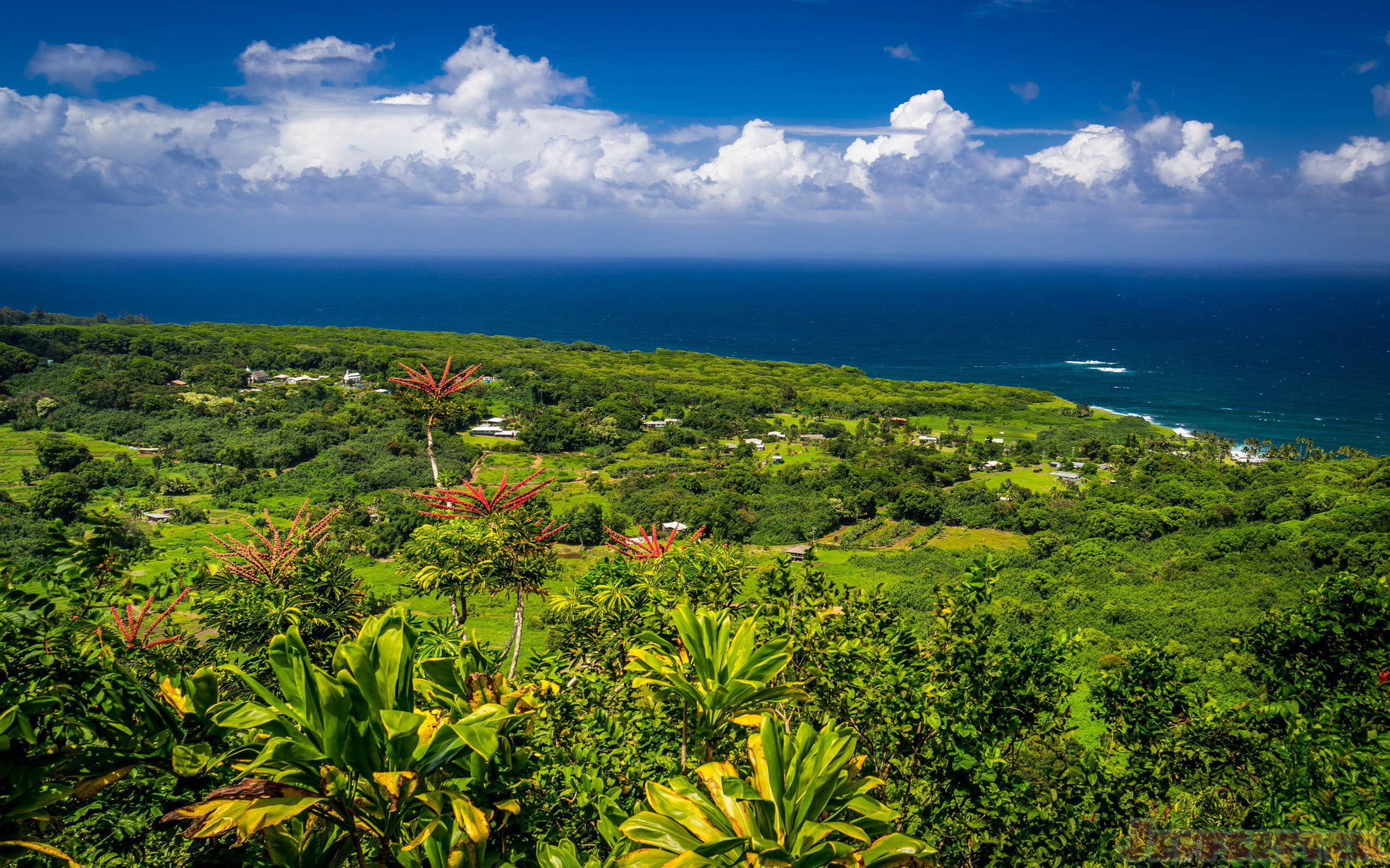 Hana, Hawaii Wallpaper, 2560x1600 HD Desktop