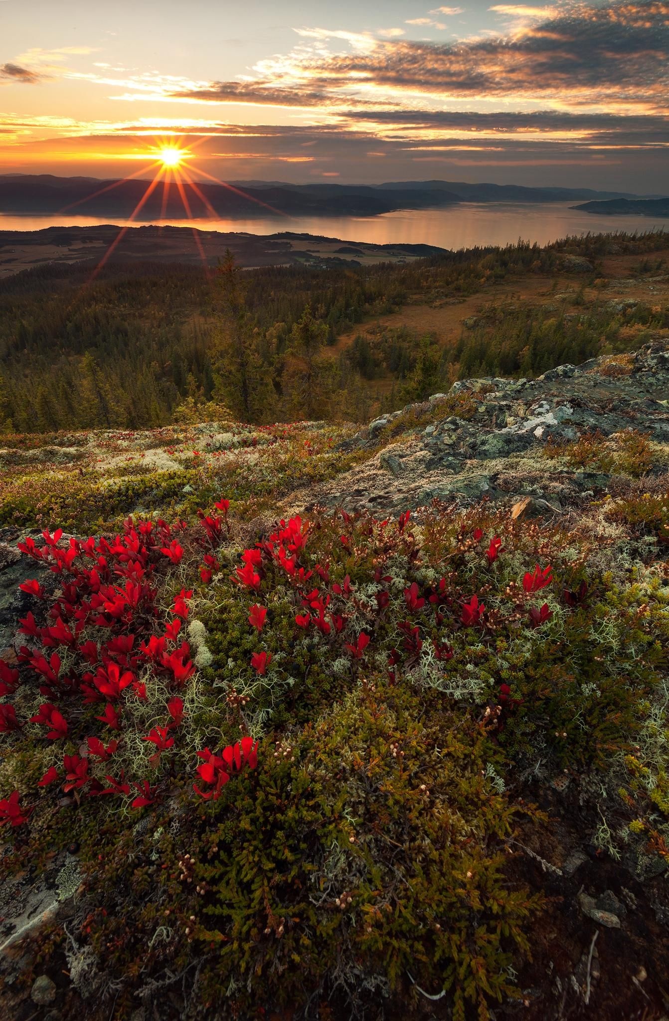 Fall autumn scenery, Mountain backdrop, Outdoor travel, 1350x2050 HD Phone