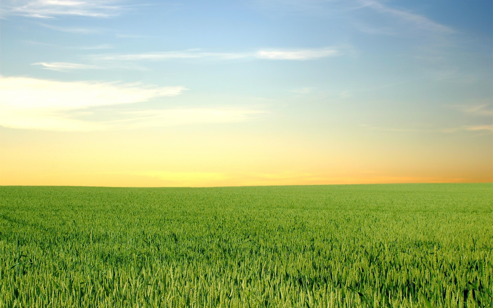 Mobile wallpaper landscape, Grass fields, Serene sky, Free picture download, 1920x1200 HD Desktop