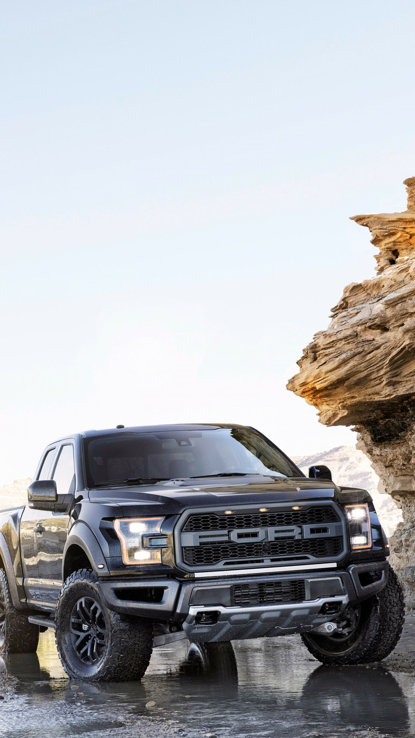 Wallpaper Ford F-150 Raptor, Front pickup, NAIAS 2017, Automotive excellence, 1440x2560 HD Phone