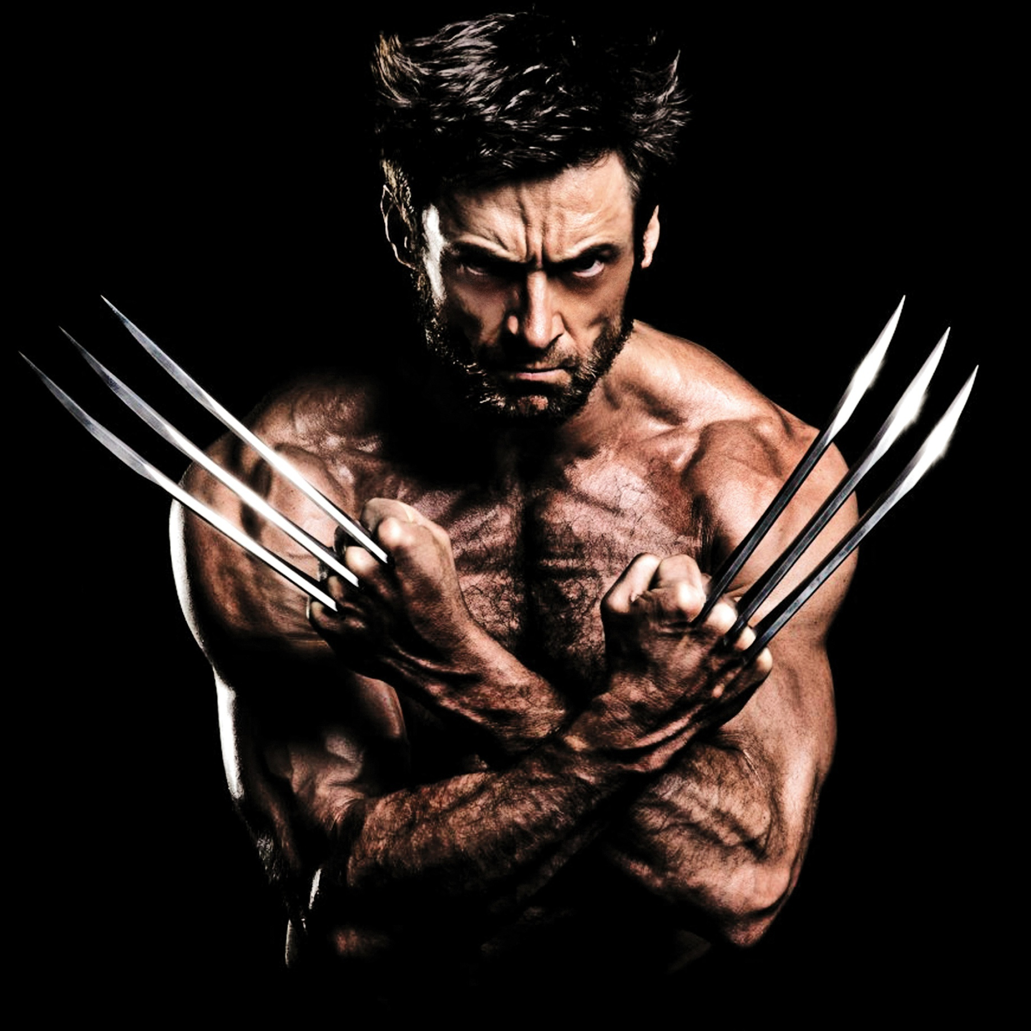 78+ Hugh Jackman Wallpaper 2050x2050