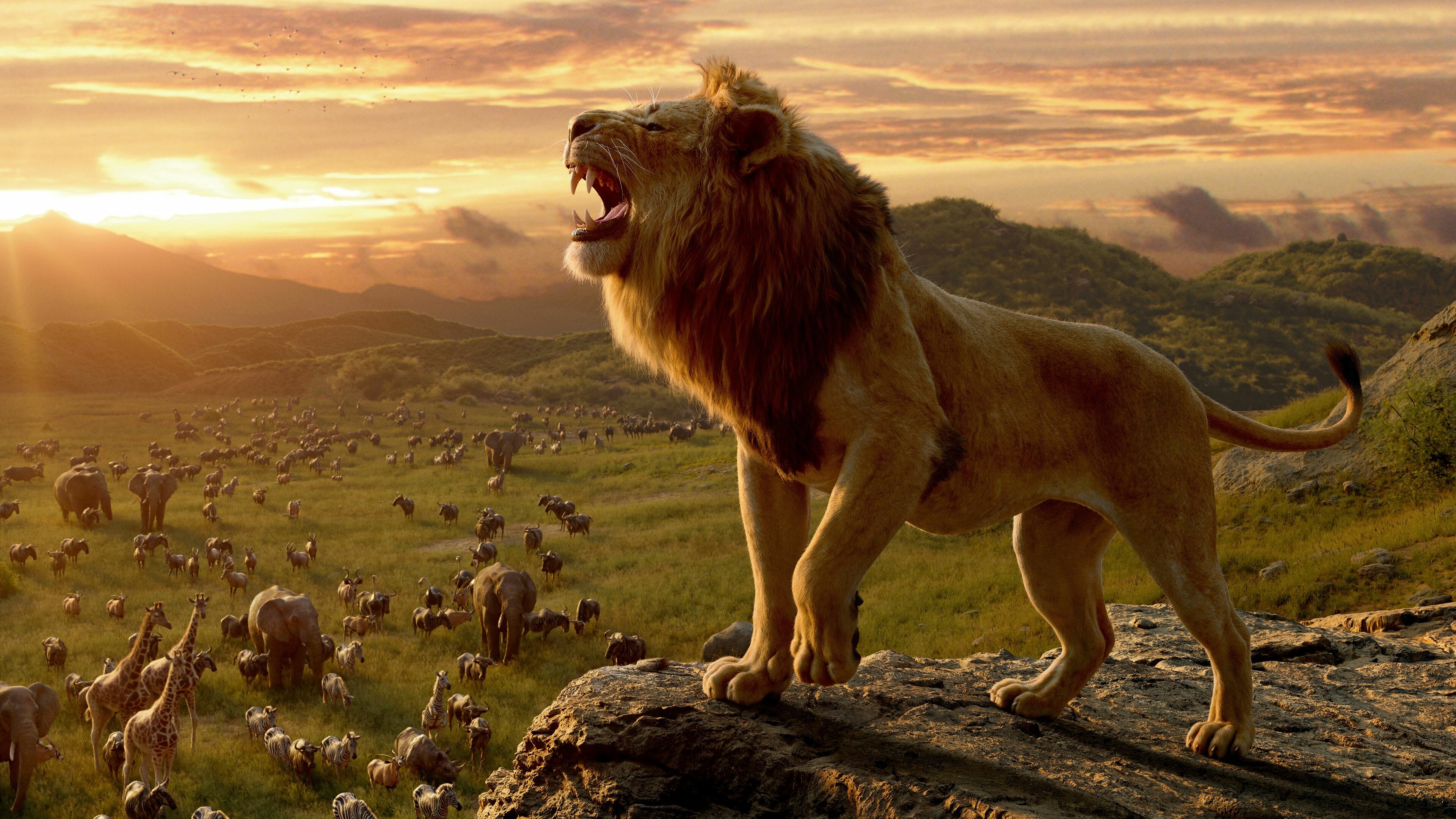 The Lion King, Lions Wallpaper, 3840x2160 4K Desktop