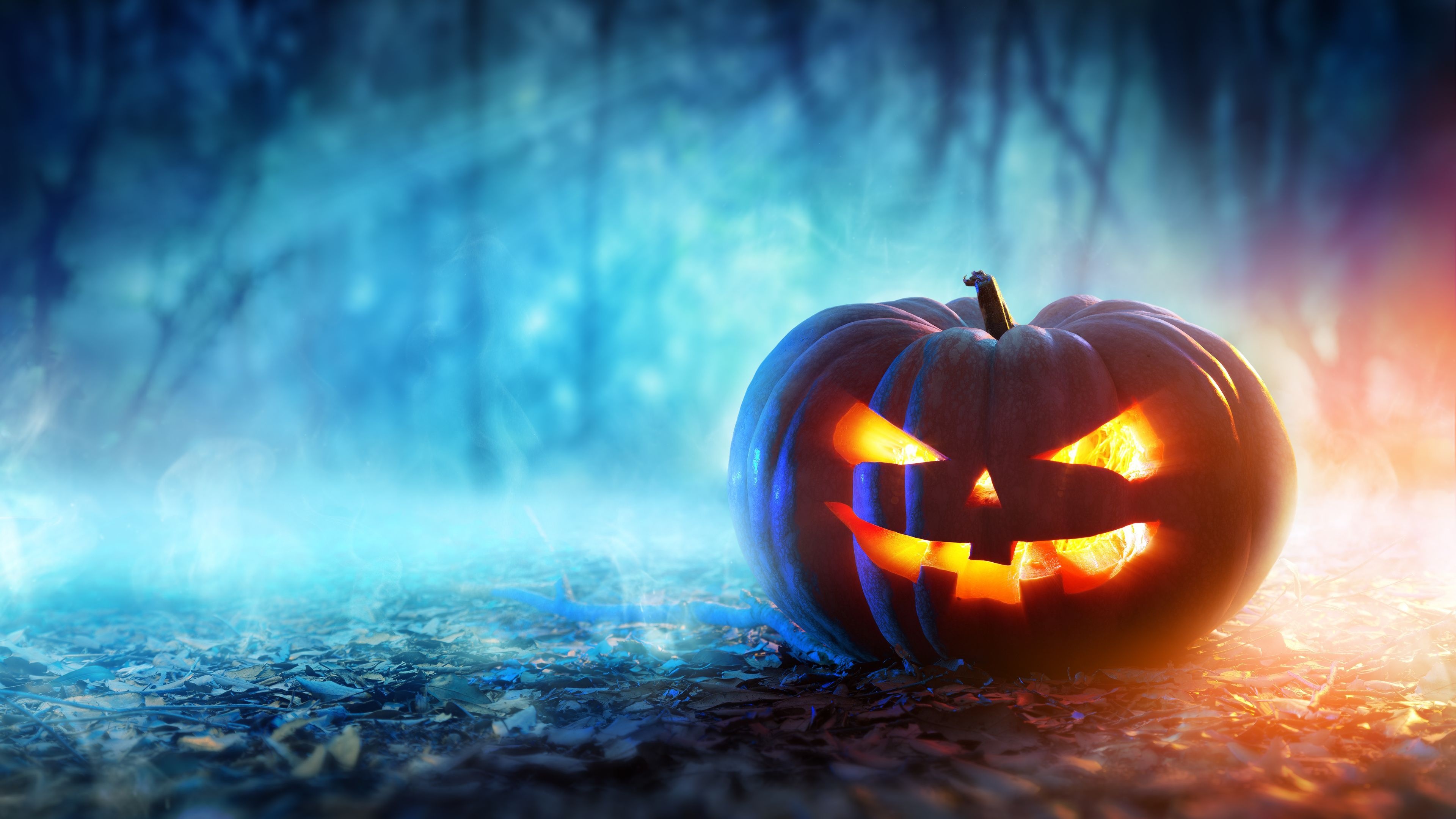 Jack-o'-lantern, Halloween Pumpkins Wallpaper, 3840x2160 4K Desktop