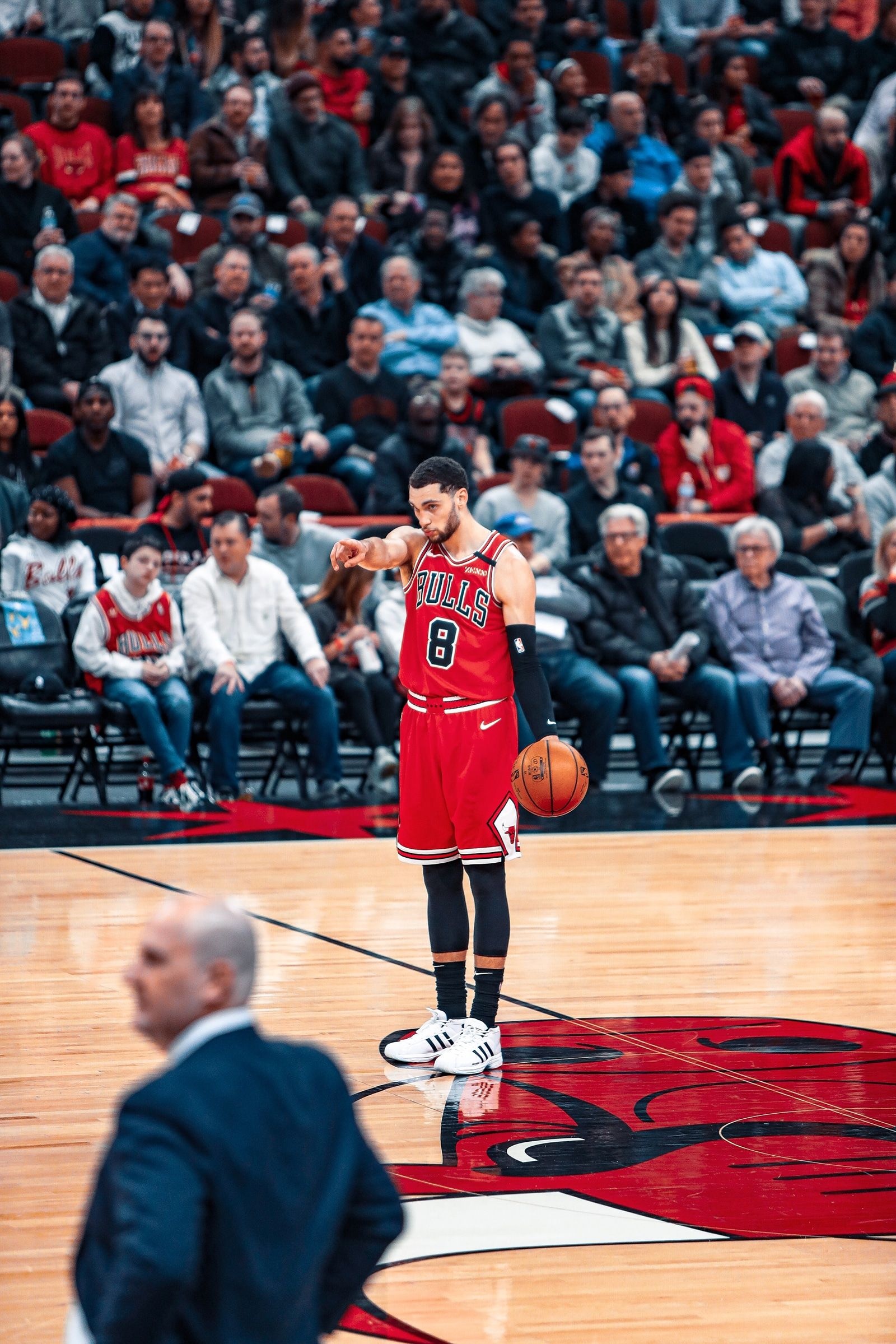 Zach LaVine, NBA player, Chicago Bulls, 1600x2400 HD Phone